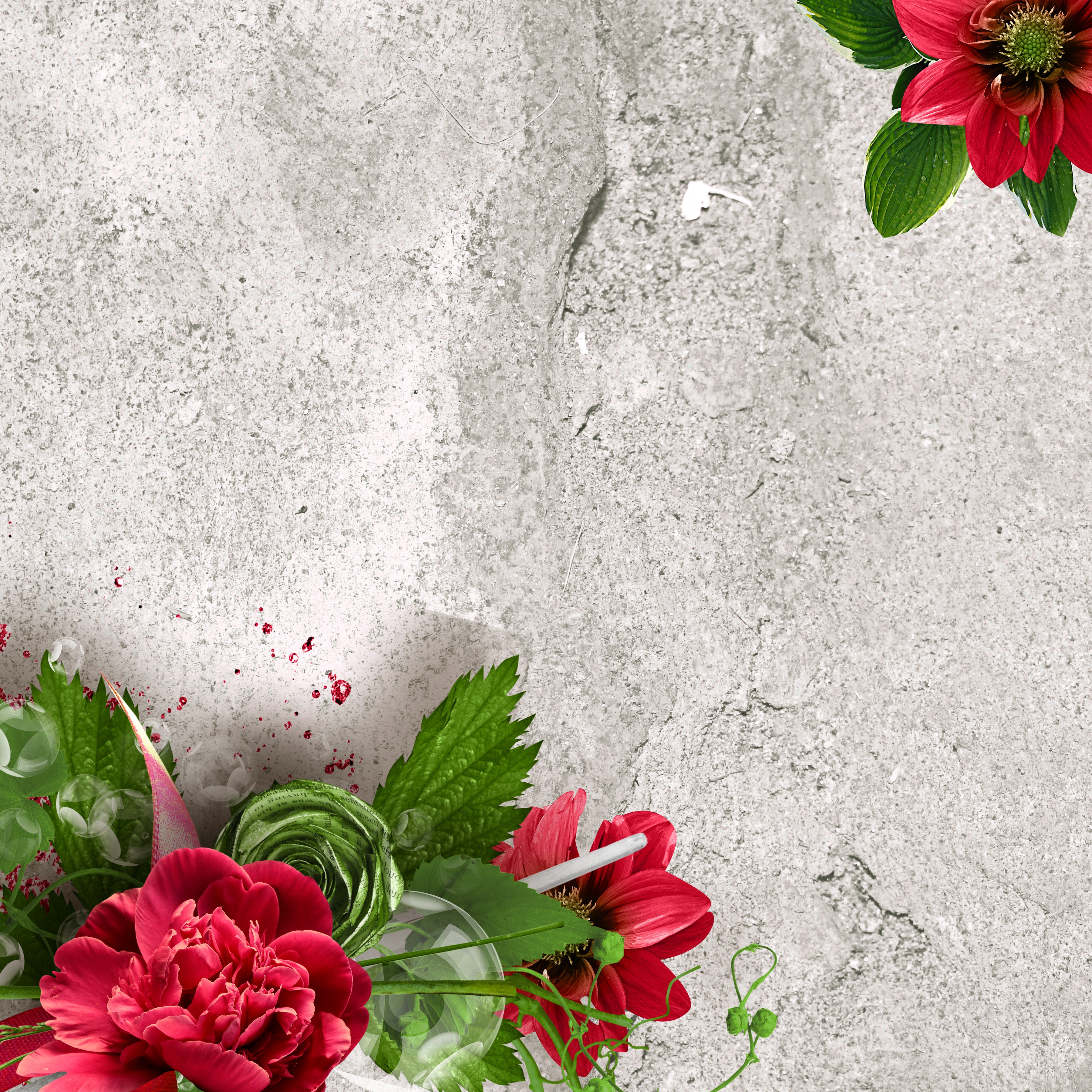 Red Peonies and Chrysanthemums on Concrete Template HD Wallpaper