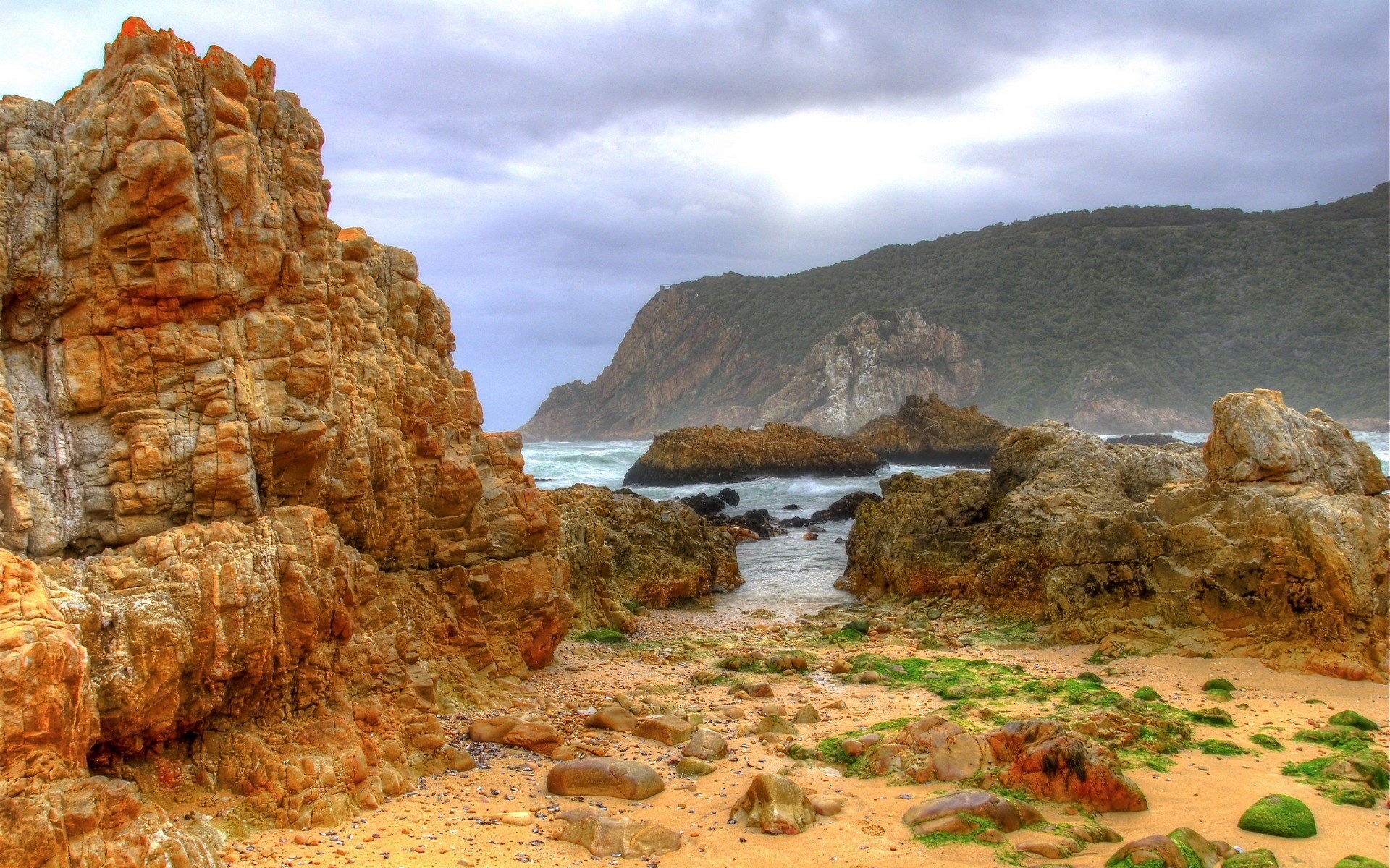 Rocky coastline with green algae and overcast sky HD Wallpaper