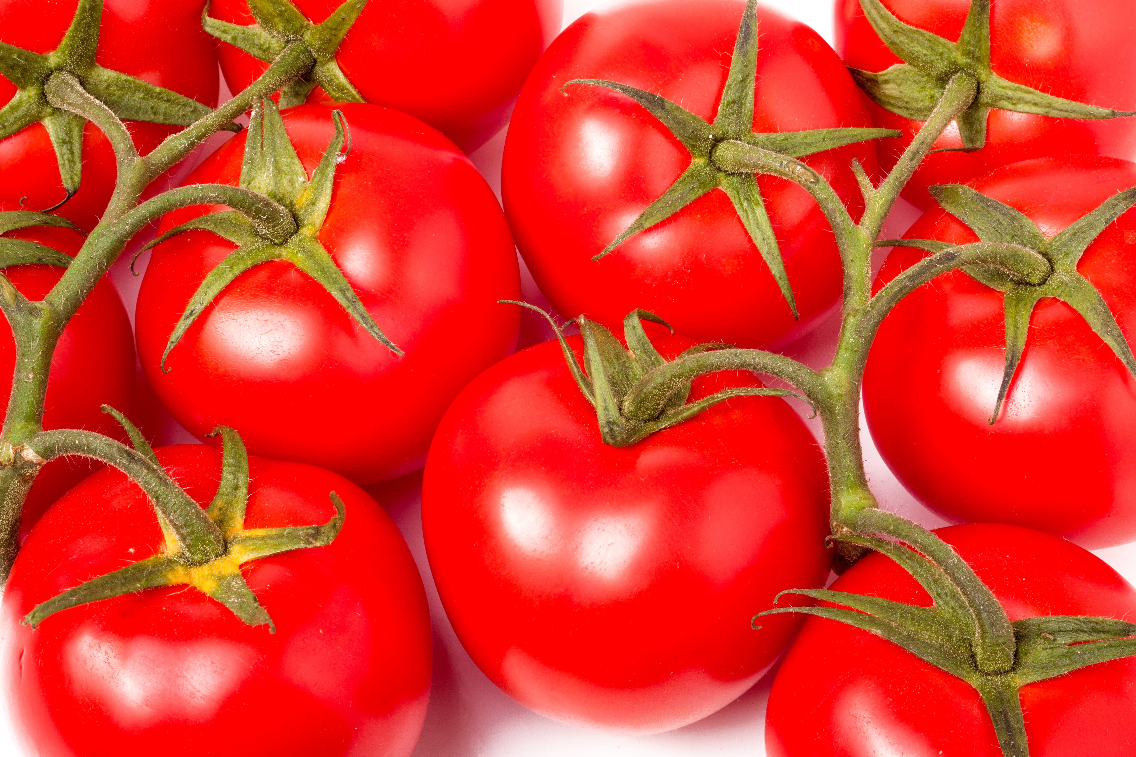 4K Tomatoes Closeup HD Wallpaper