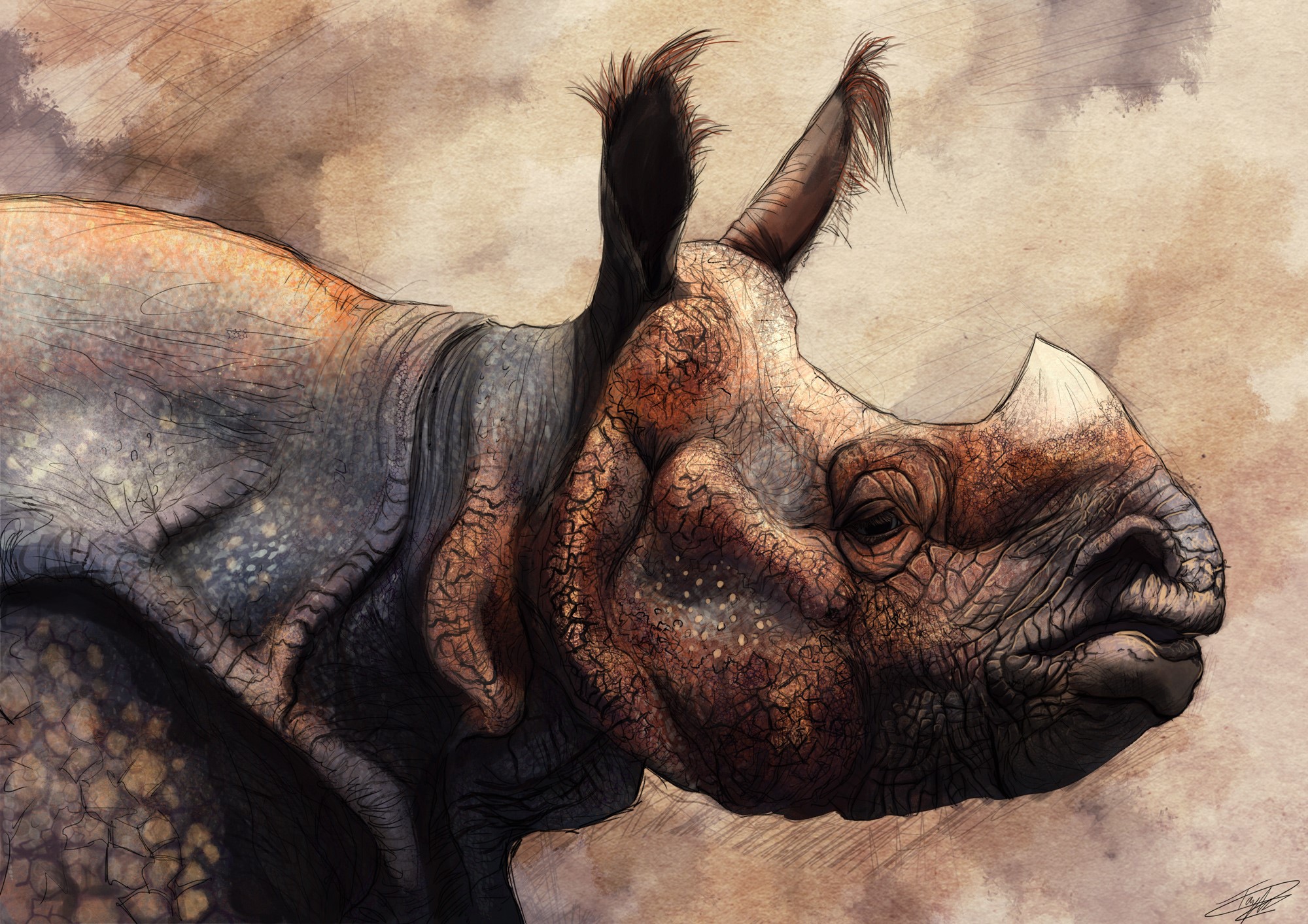 Painting of a Rhino HD Wallpaper
