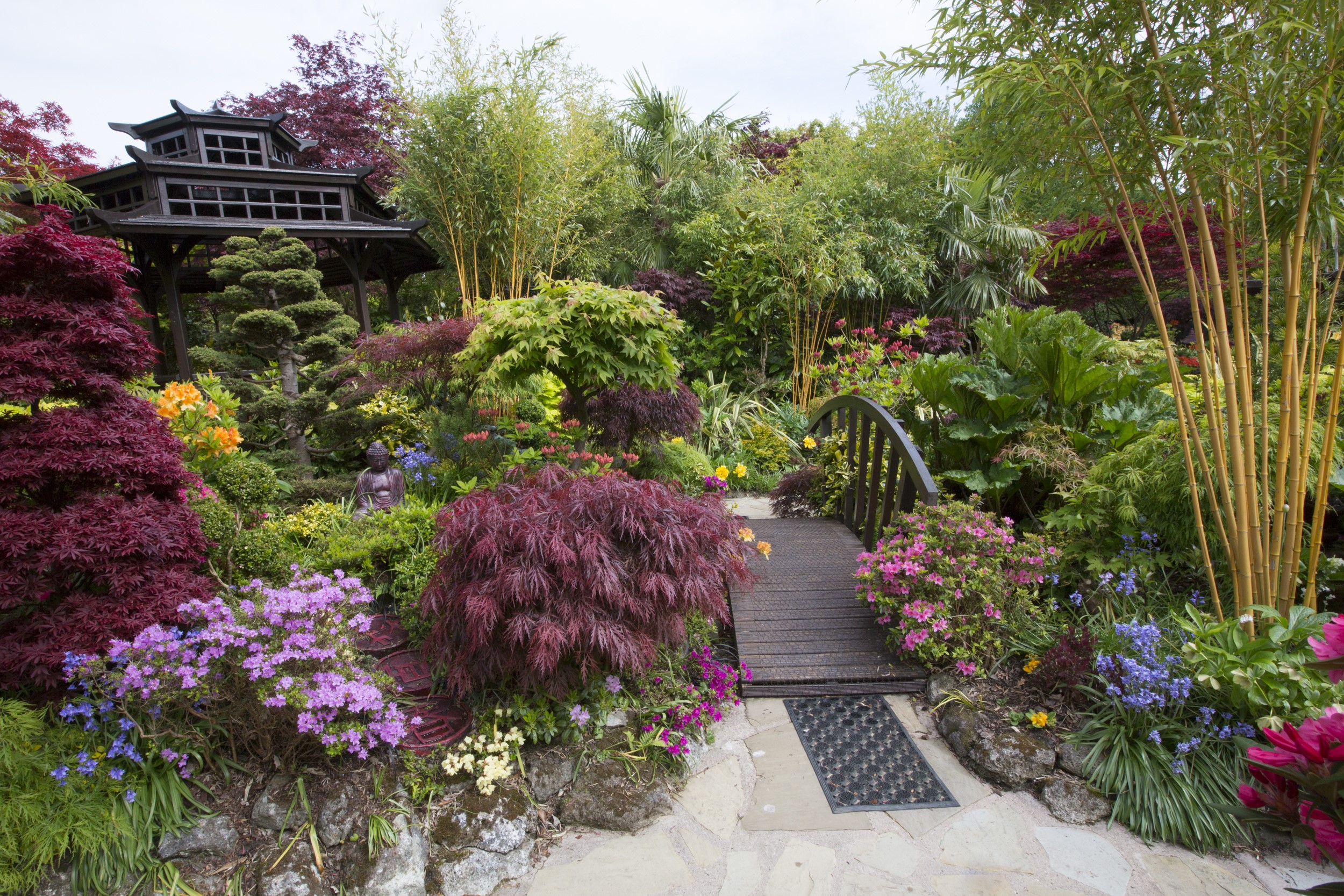 Japanese Garden with Pagoda and Bridge in England HD Wallpaper