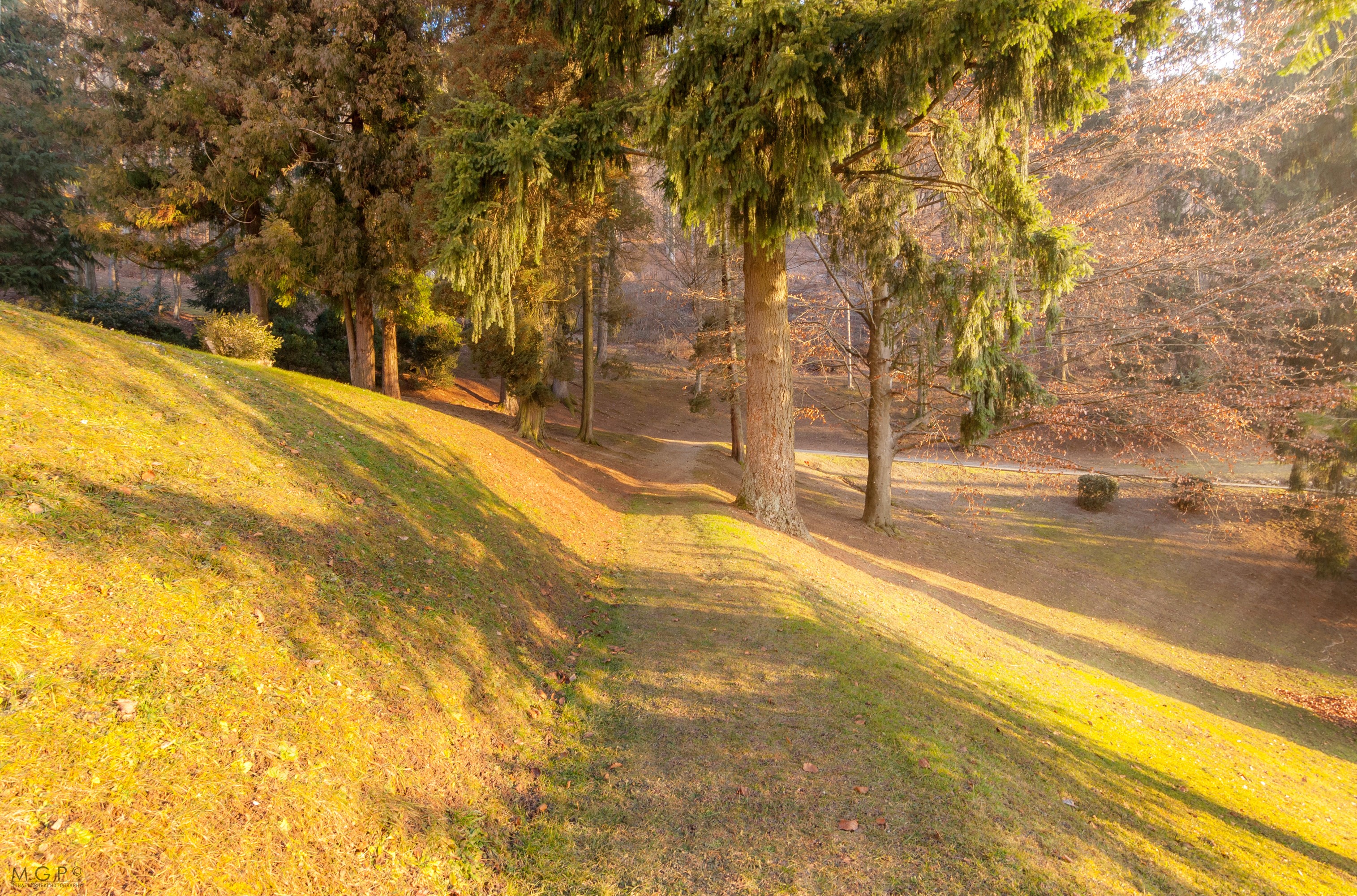 Path through a park in Kranj, Slovenia during autumn HD Wallpaper