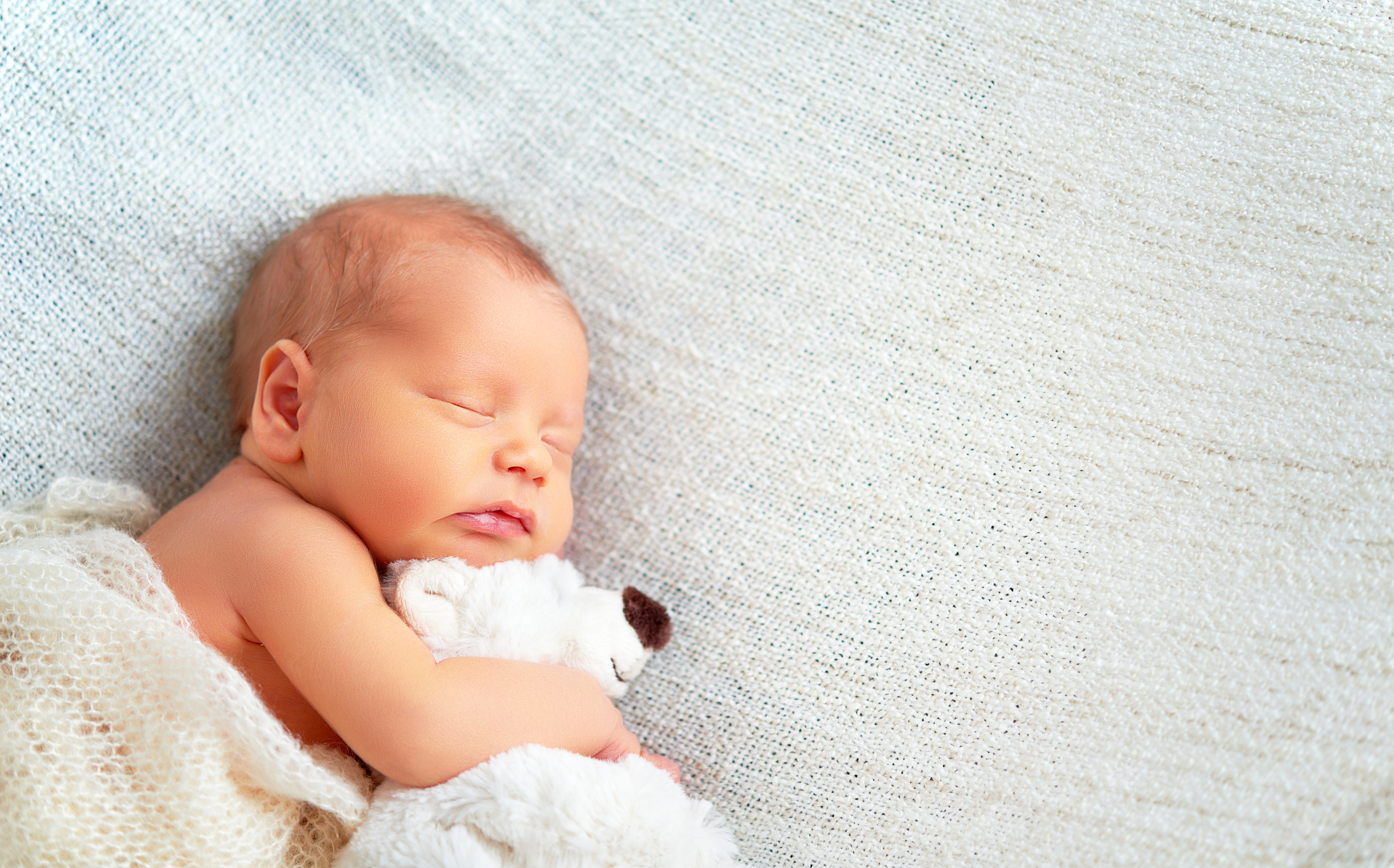 Newborn baby sleeping with a toy HD Wallpaper