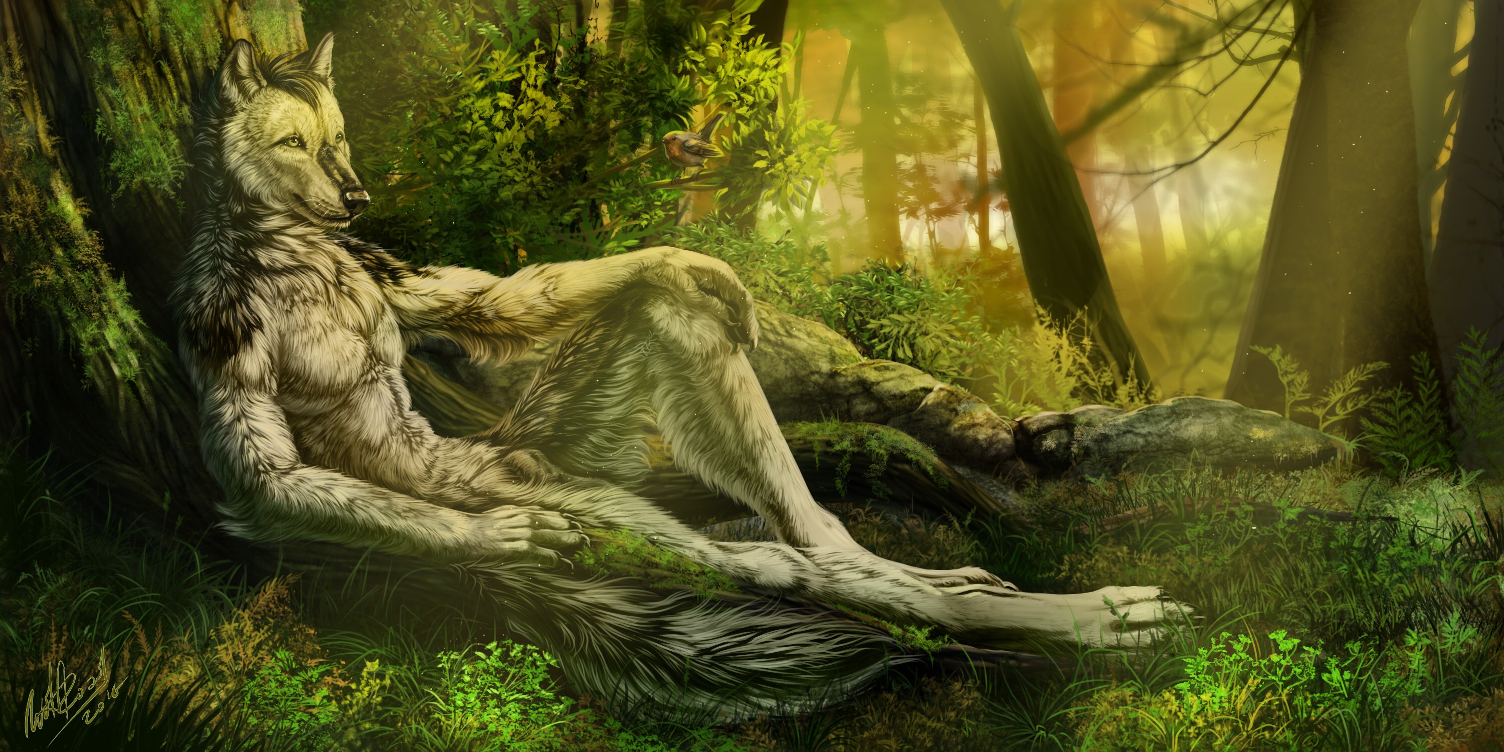 Werewolf resting in a sunlit forest HD Wallpaper