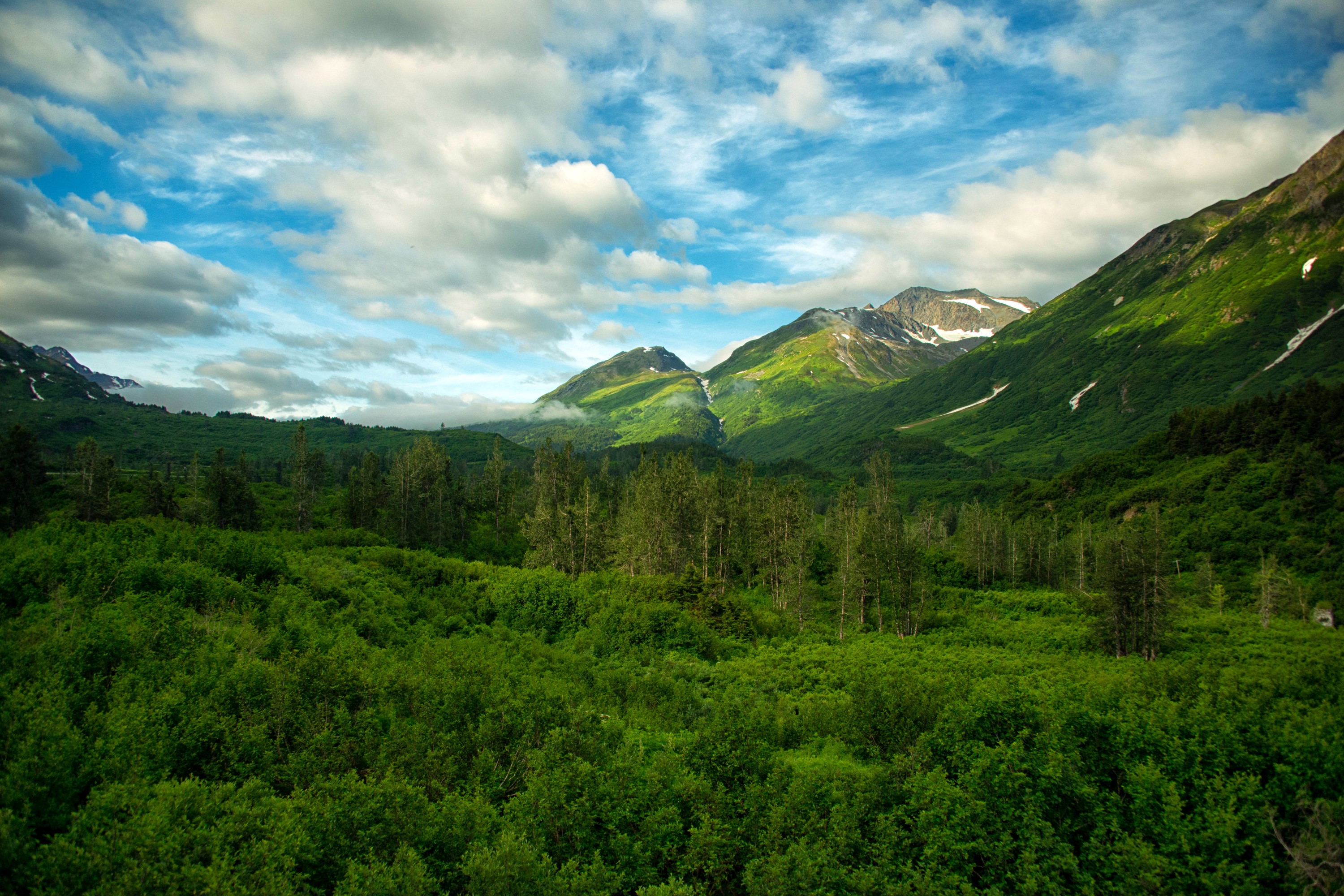 Mountains and forests in Chugach National Forest, Alaska HD Wallpaper