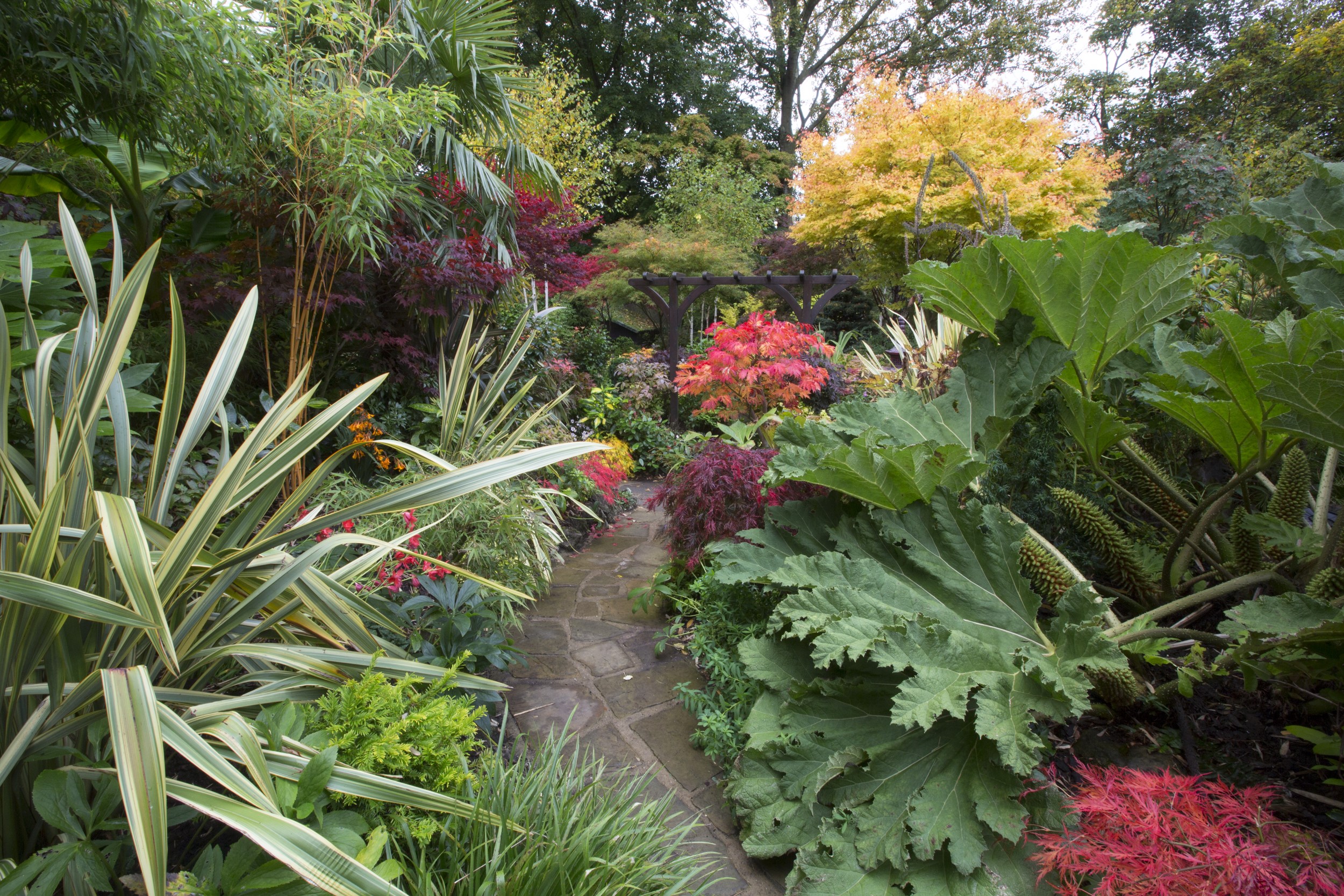 Garden path with diverse plants in Walsall, United Kingdom HD Wallpaper