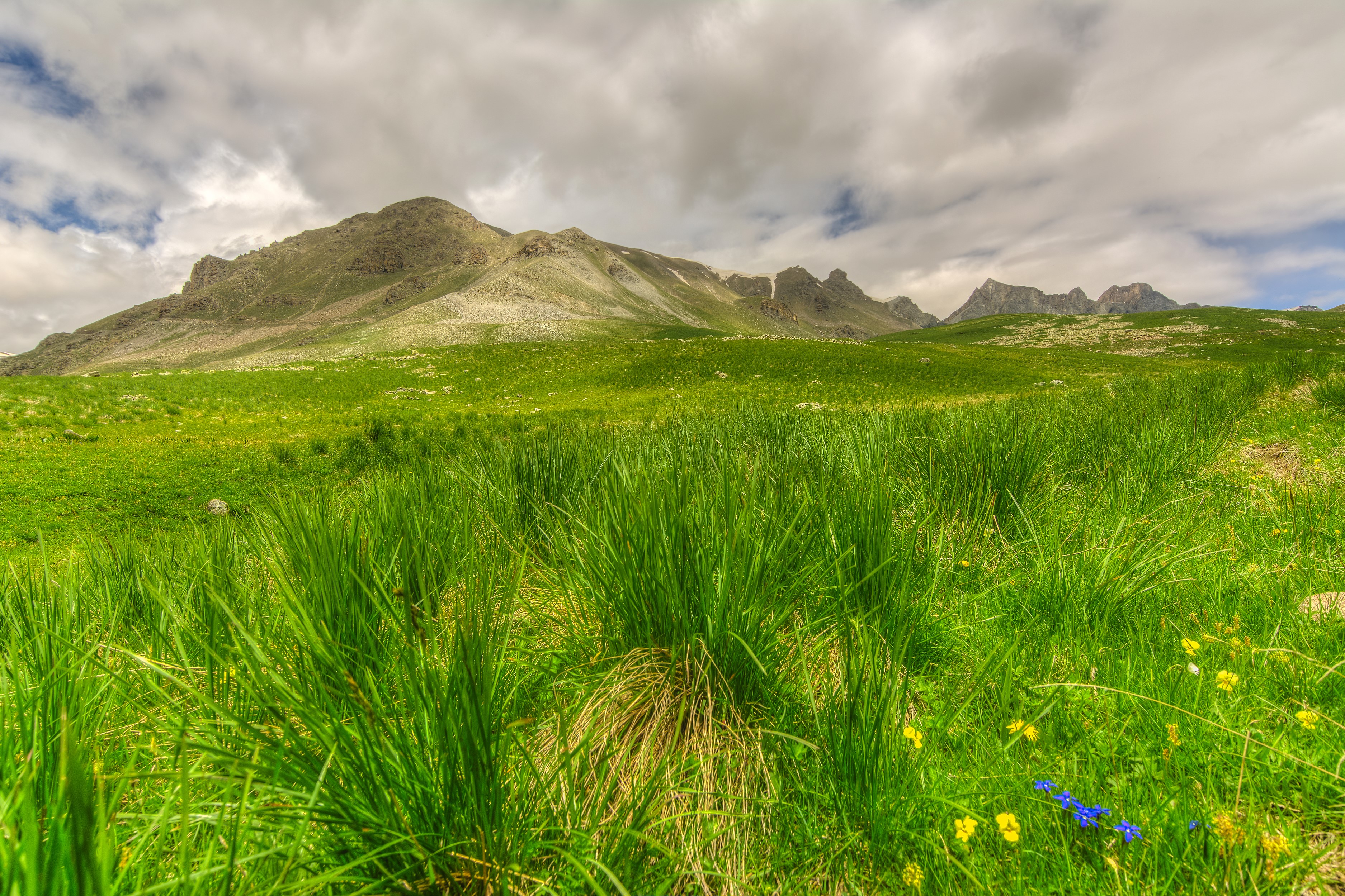 Green grassy meadow with mountains under cloudy sky HD Wallpaper