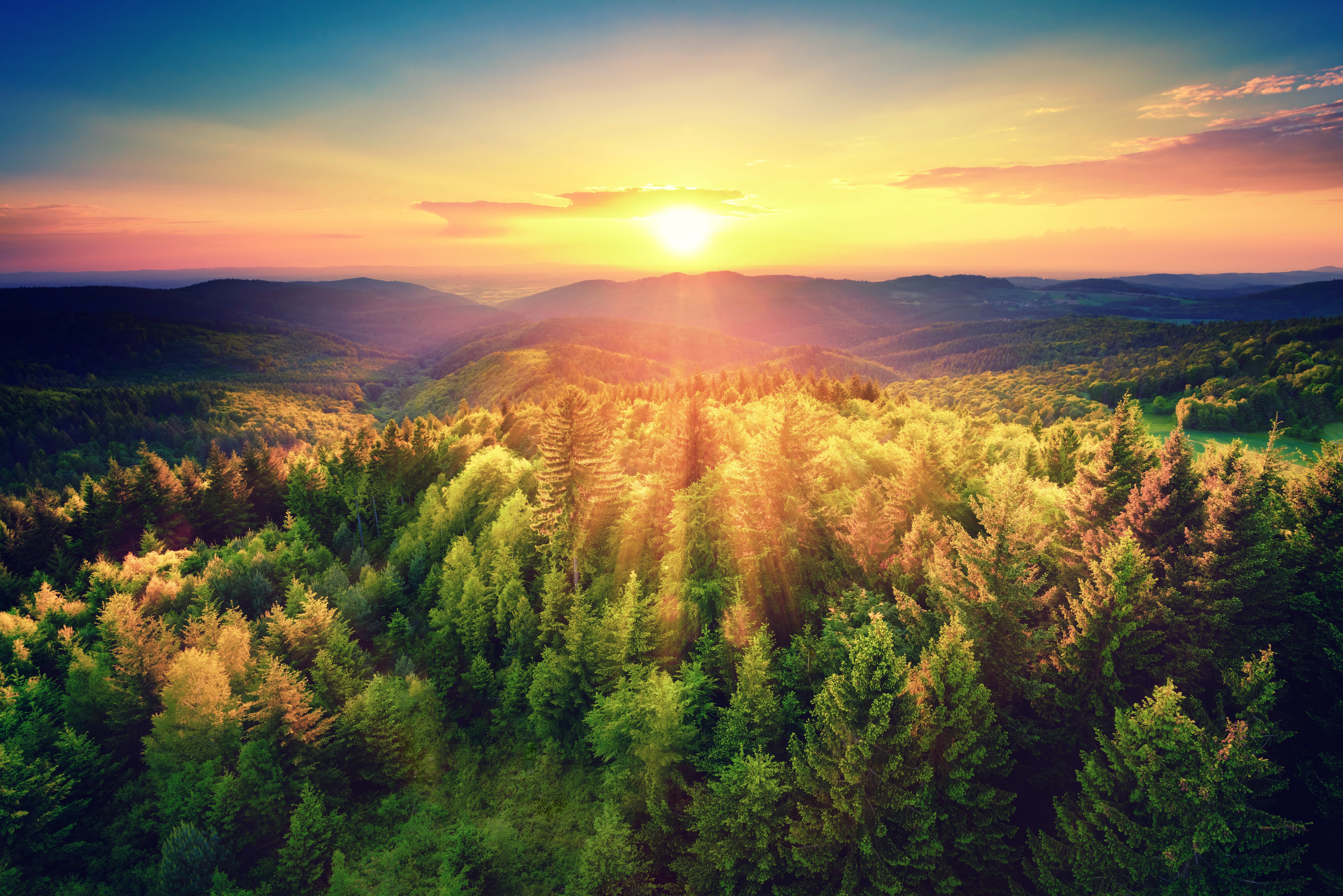 Sunset over a forest landscape HD Wallpaper