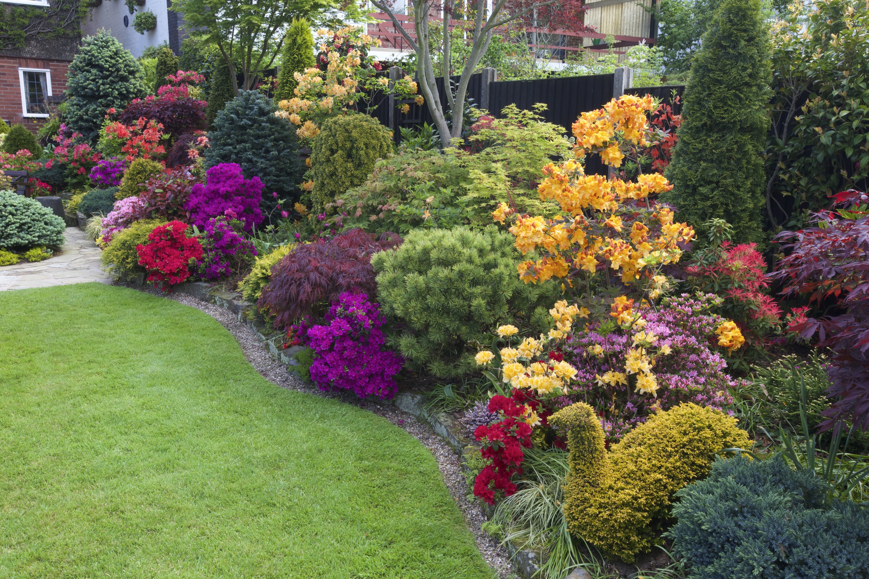 Colorful garden with rhododendrons and shrubs in Walsall, England HD Wallpaper