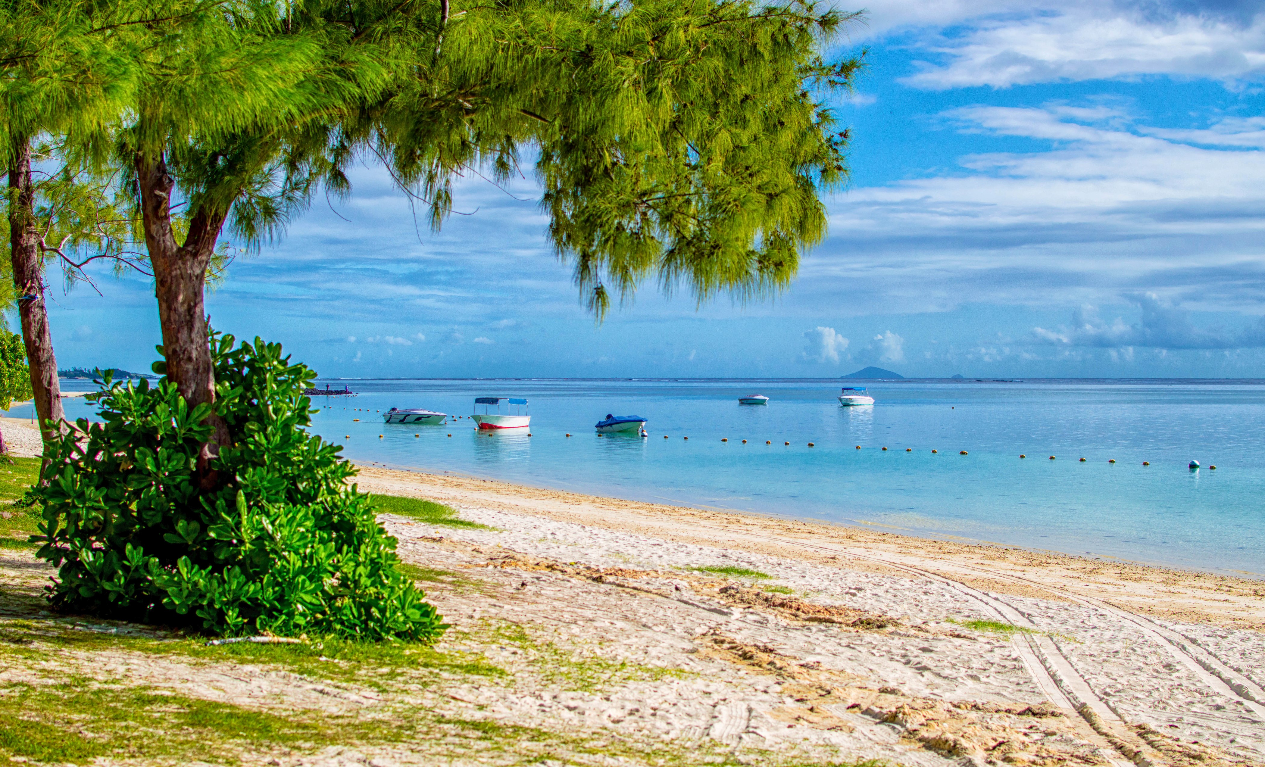 Boats on a sandy beach with trees HD Wallpaper