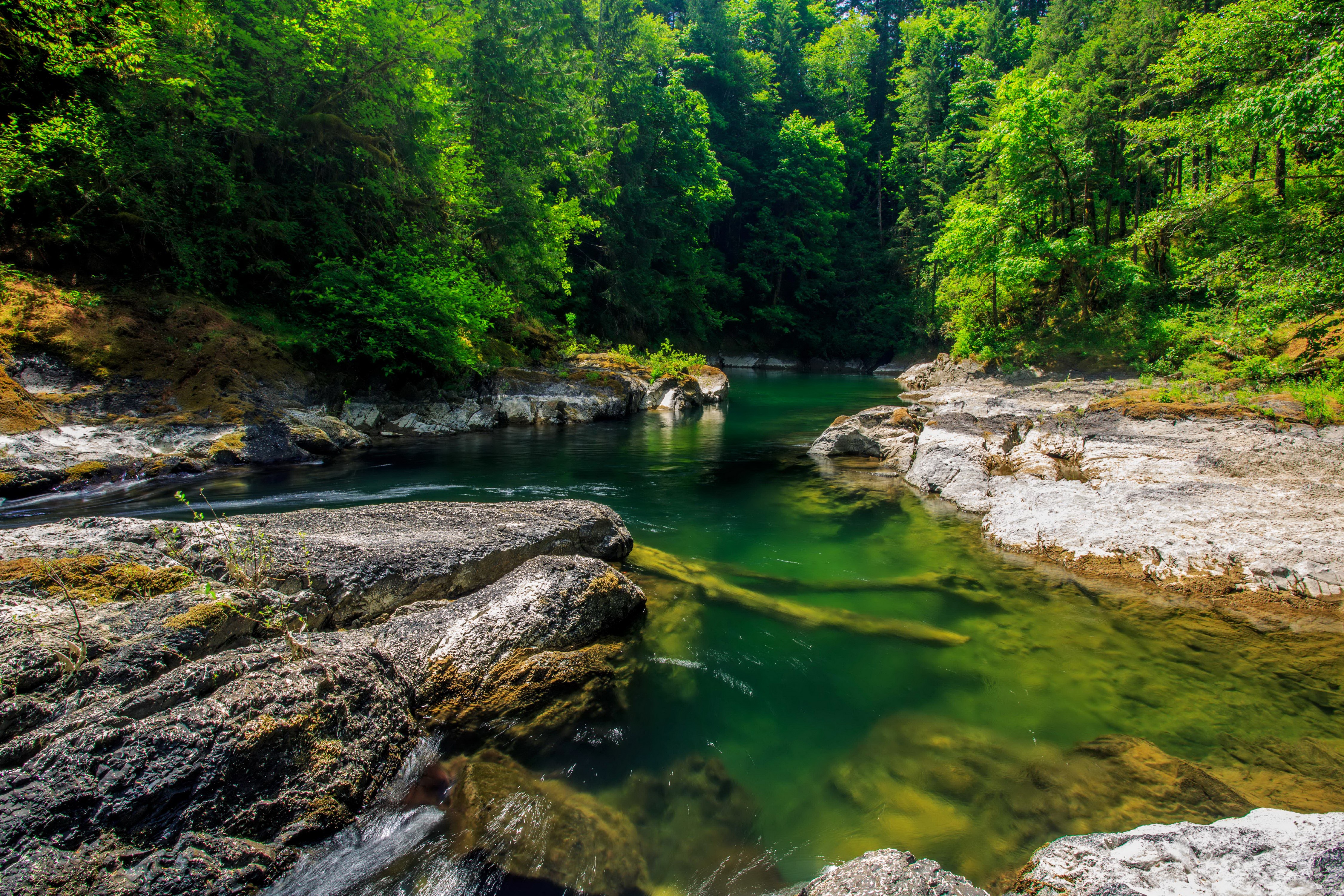 4K Scenic Cowichan River in Cowichan River Provincial Park HD Wallpaper