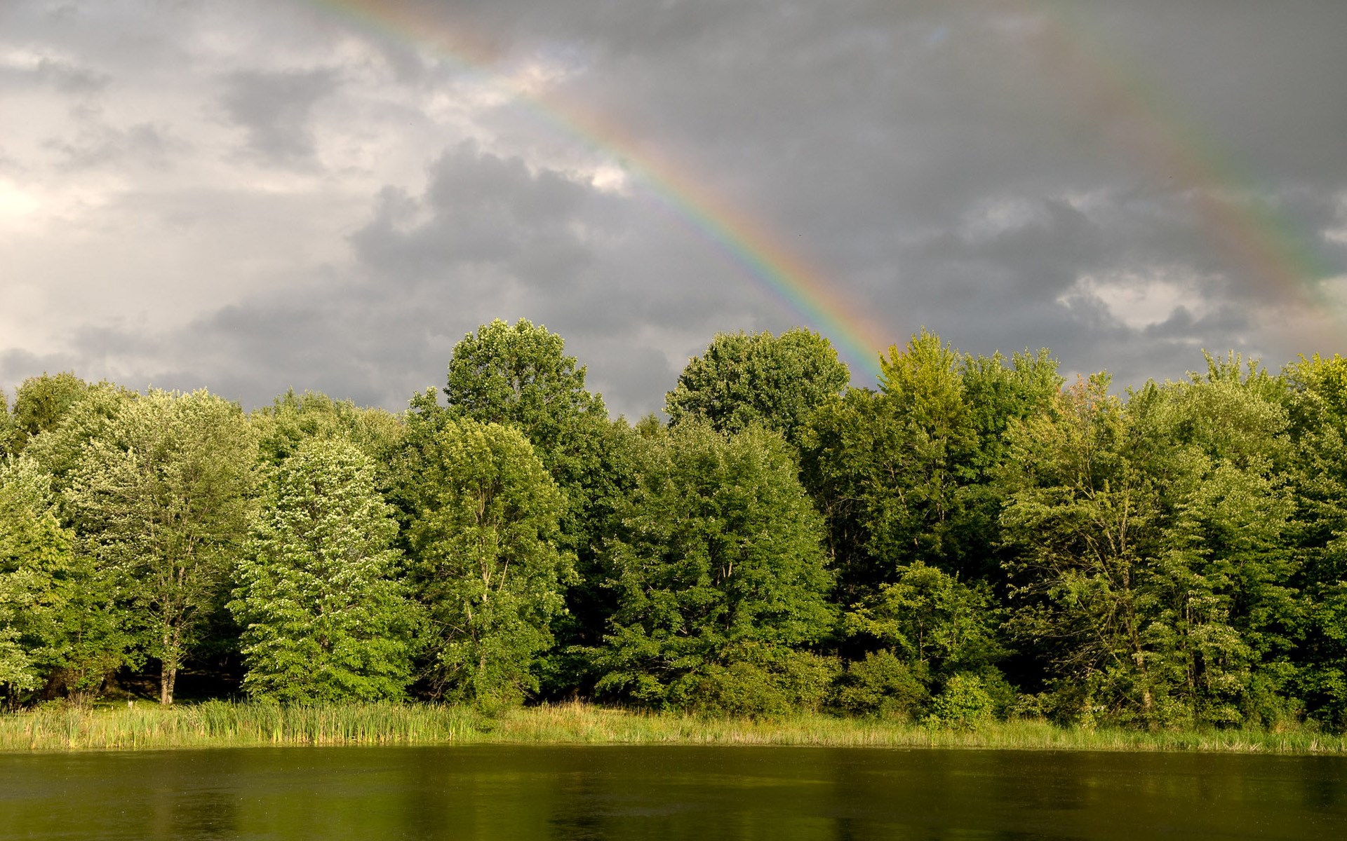 Rainbow over a forest and lake HD Wallpaper