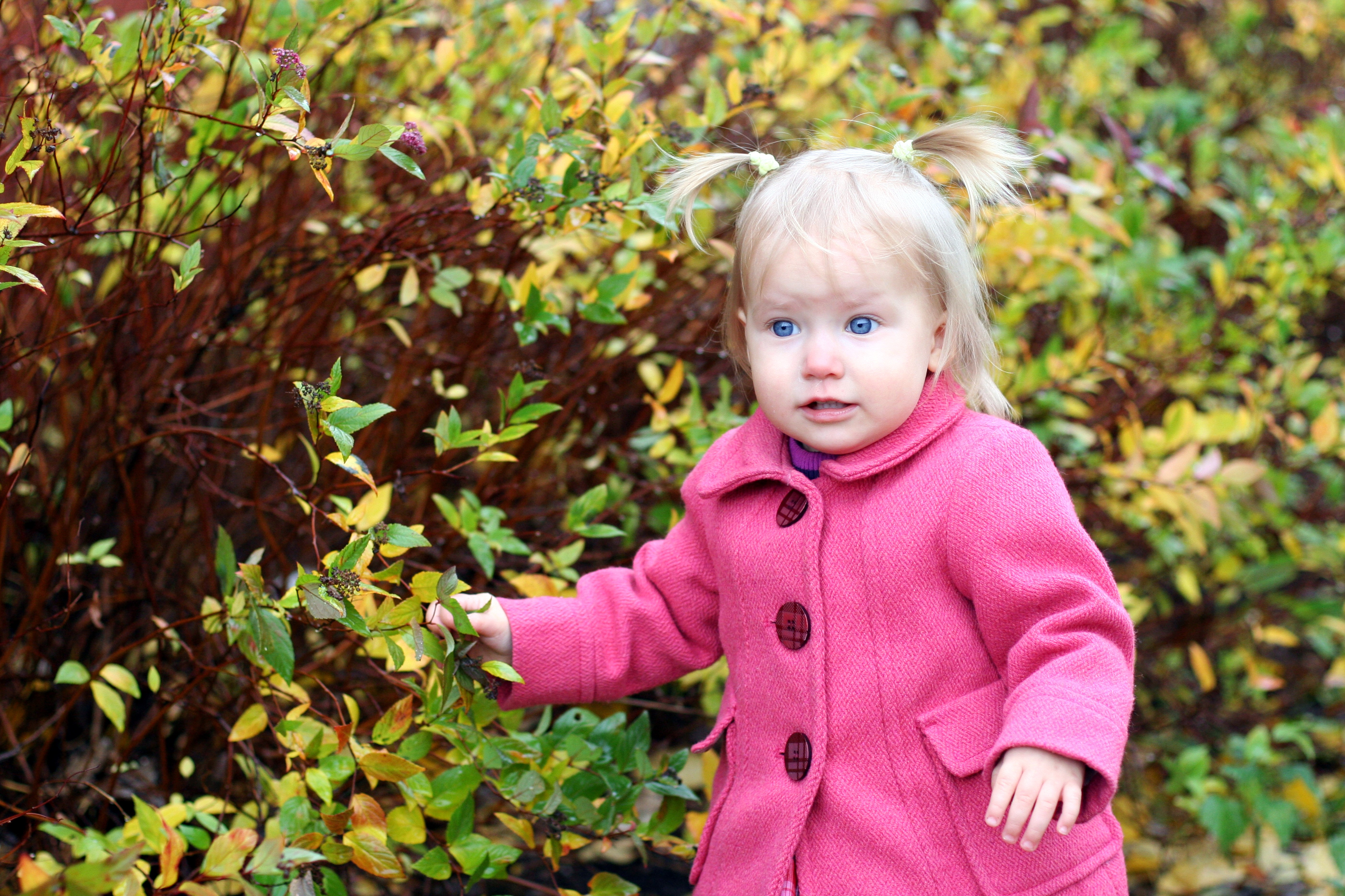 Little girl in pink coat HD Wallpaper
