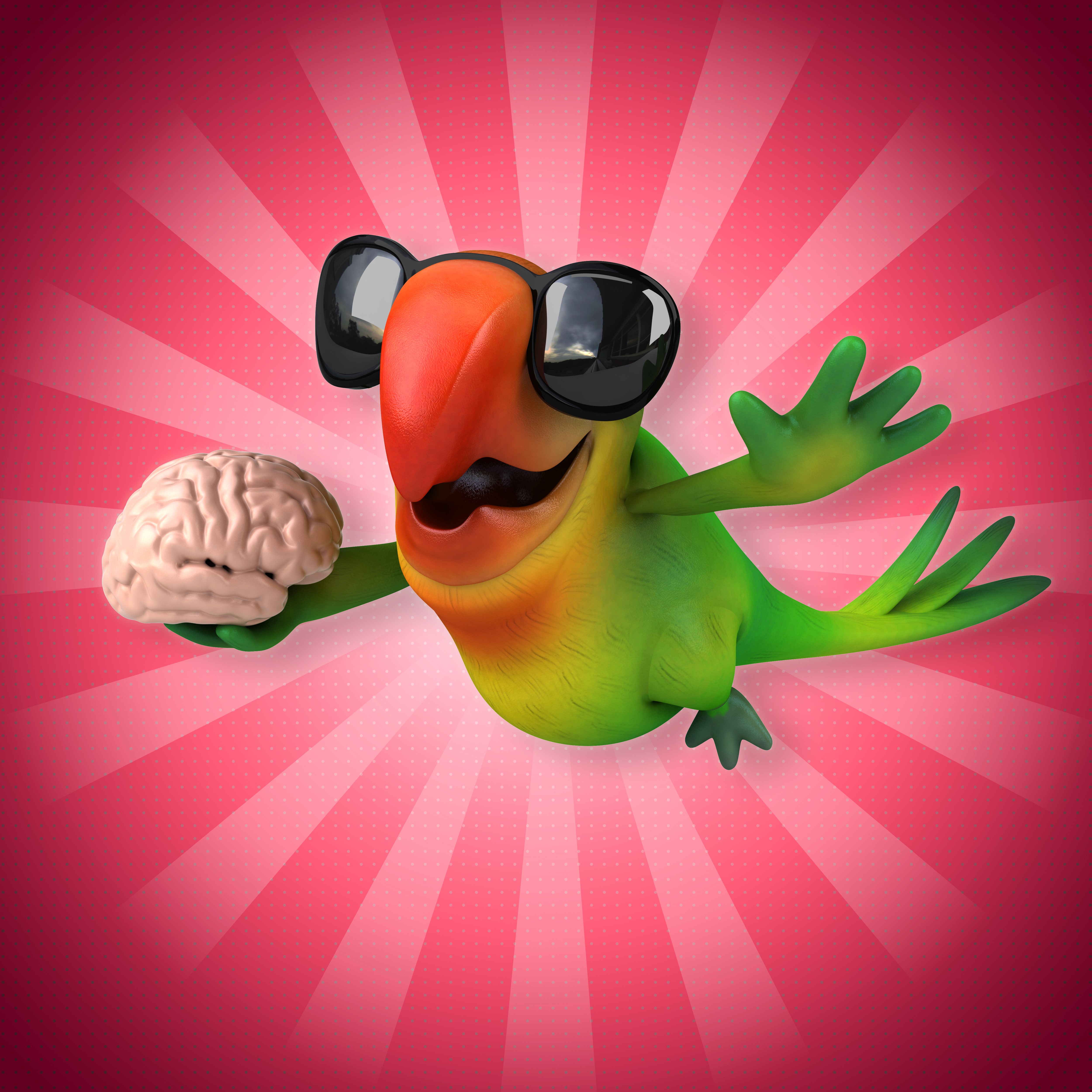 Parrot Wearing Sunglasses Holding a Brain HD Wallpaper