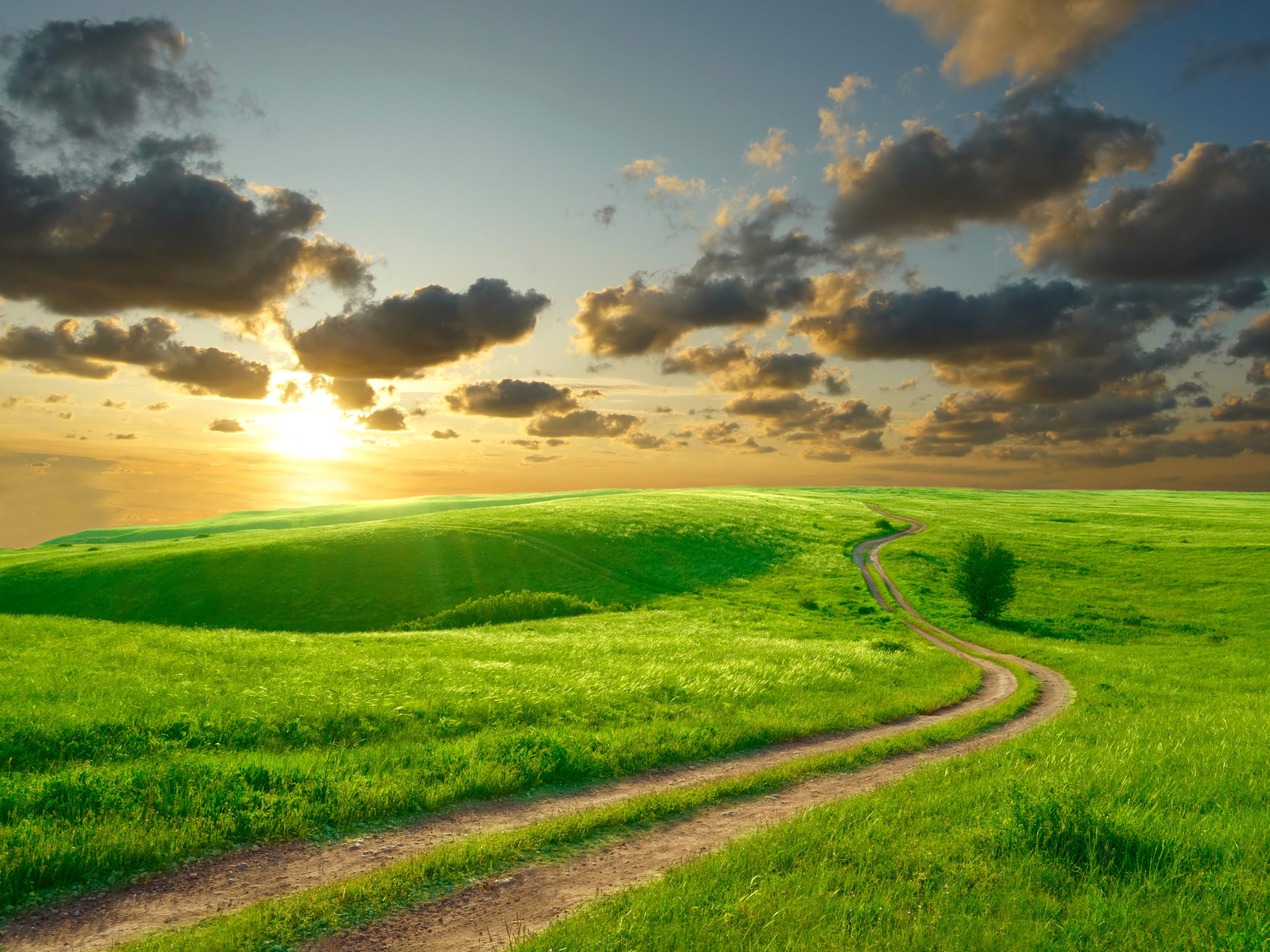 4K Green Fields and Winding Road at Sunset HD Wallpaper