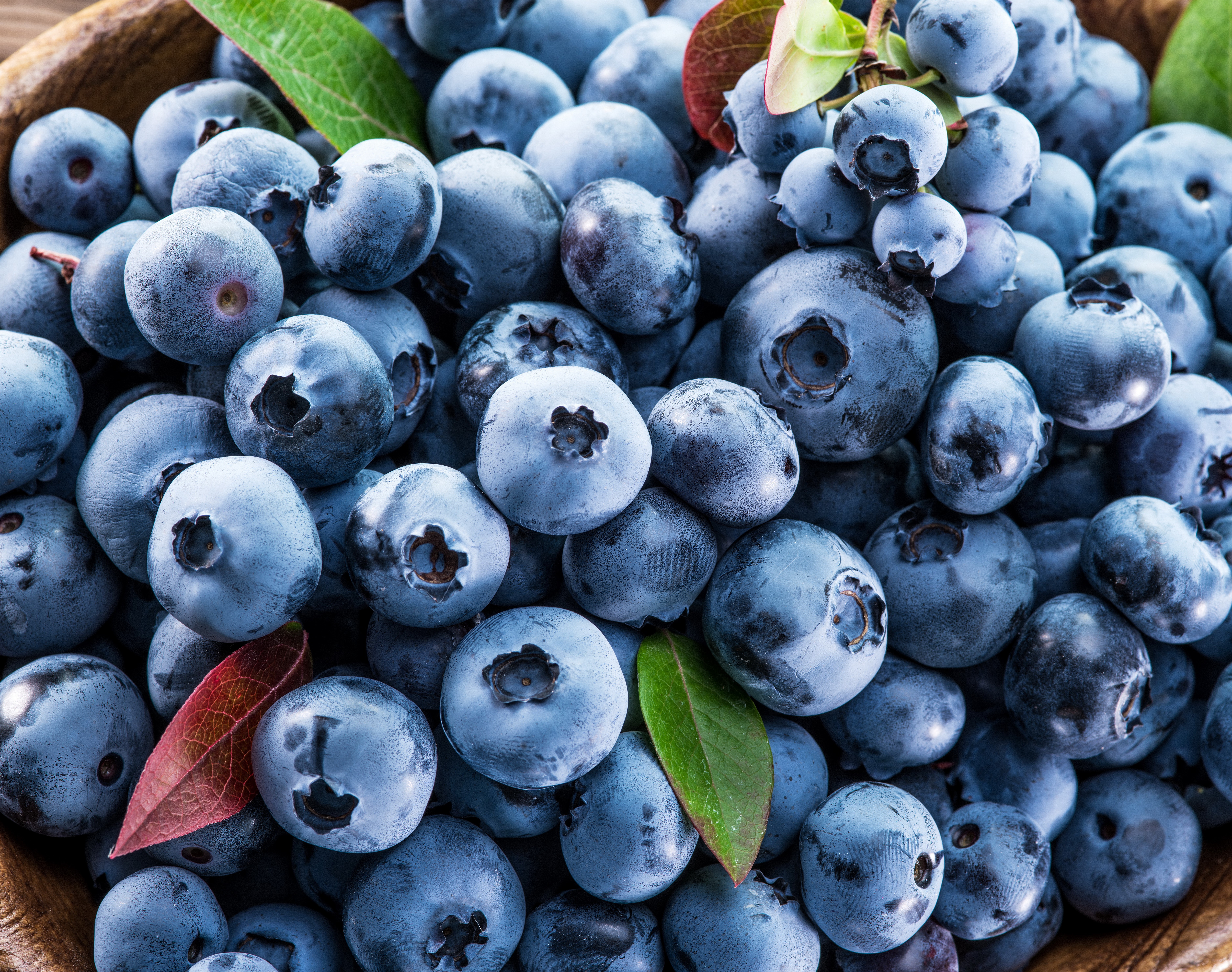 Blueberries in a wooden bowl HD Wallpaper