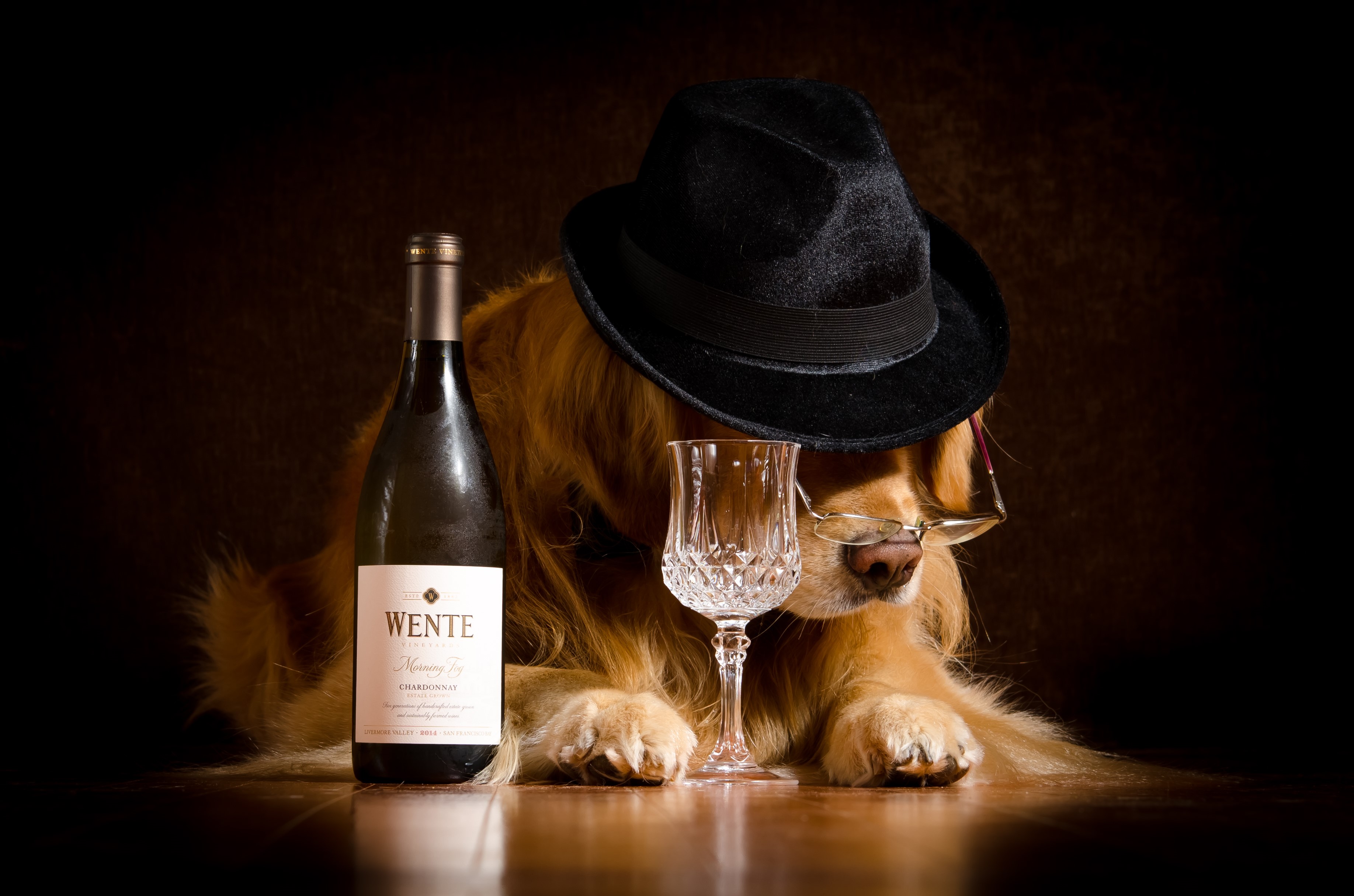 Golden Retriever dog wearing a hat and glasses with wine bottle and glass HD Wallpaper