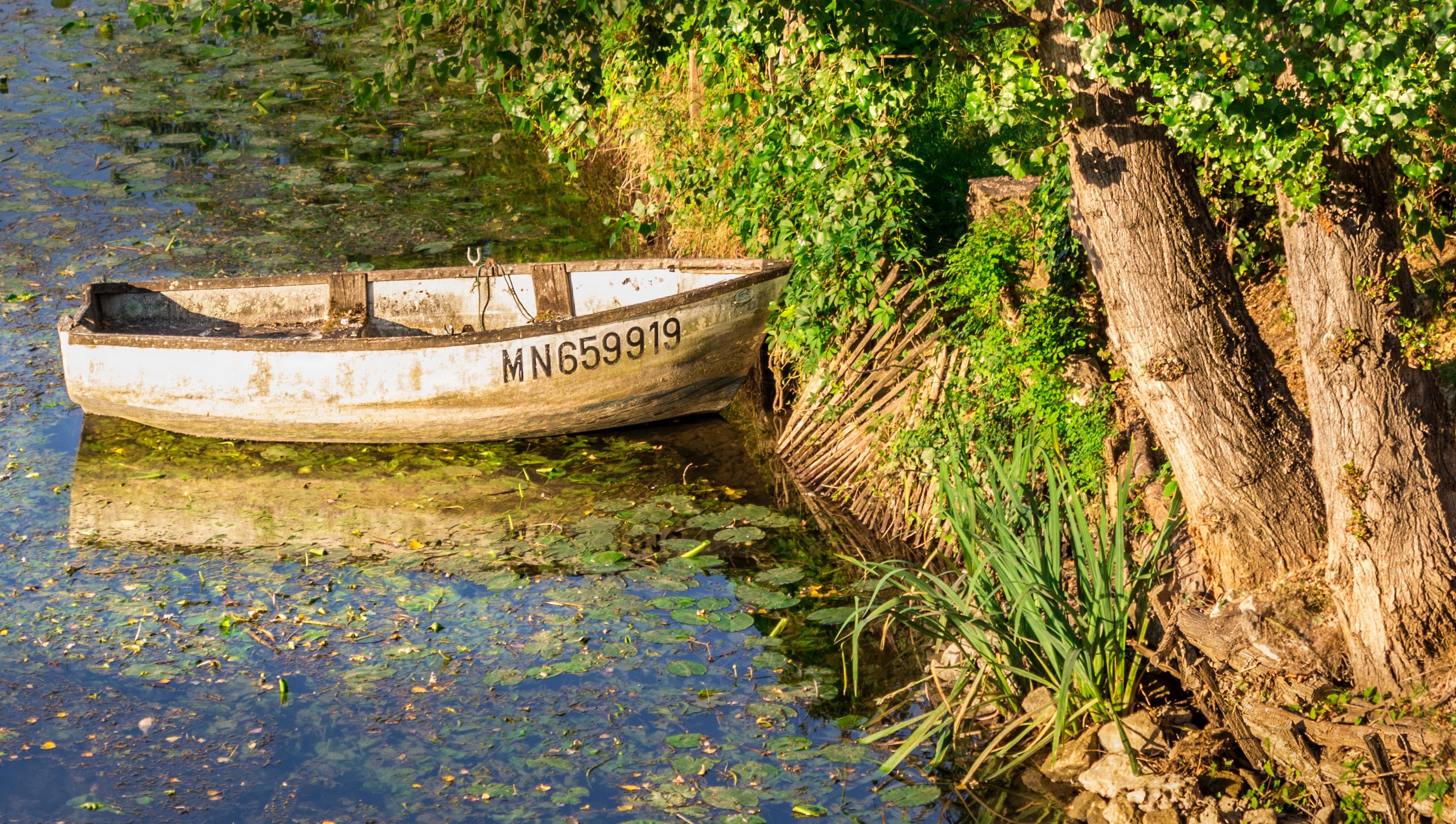 Old white boat with registration number MN659919 on a calm river HD Wallpaper