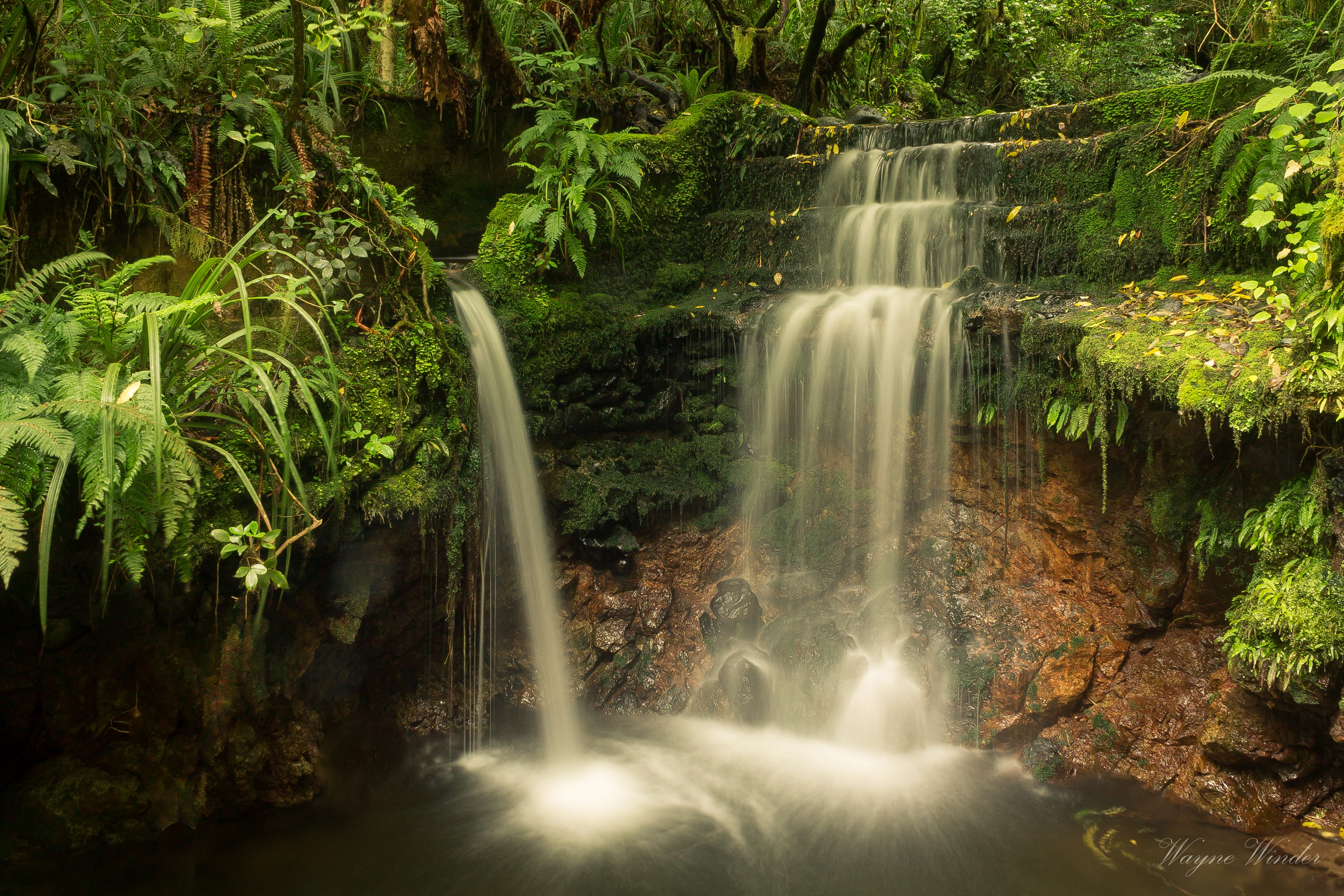 Waterfalls in Leith Valley, Dunedin, New Zealand HD Wallpaper
