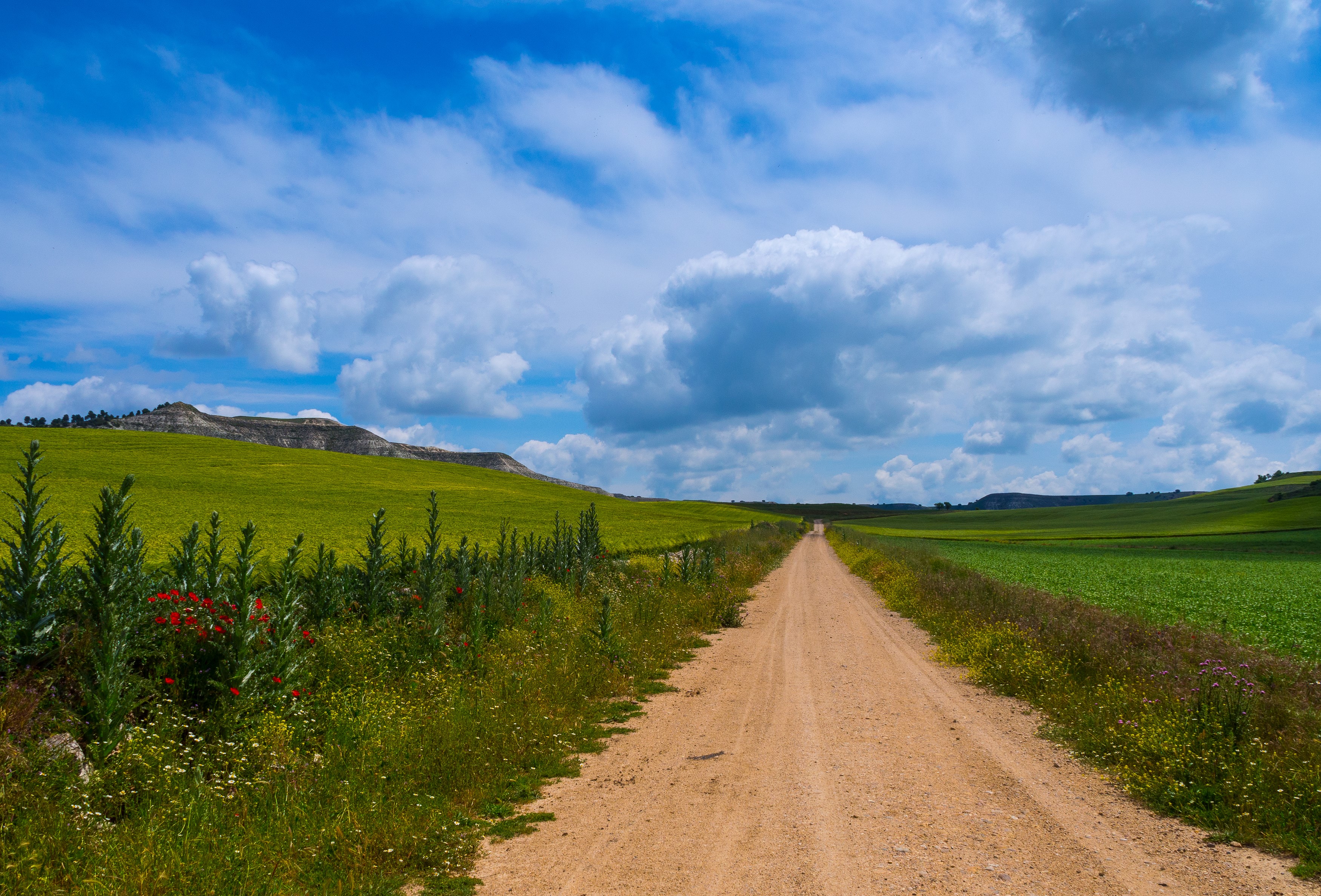 Dirt road through green fields under a cloudy blue sky in Castilla, Spain HD Wallpaper
