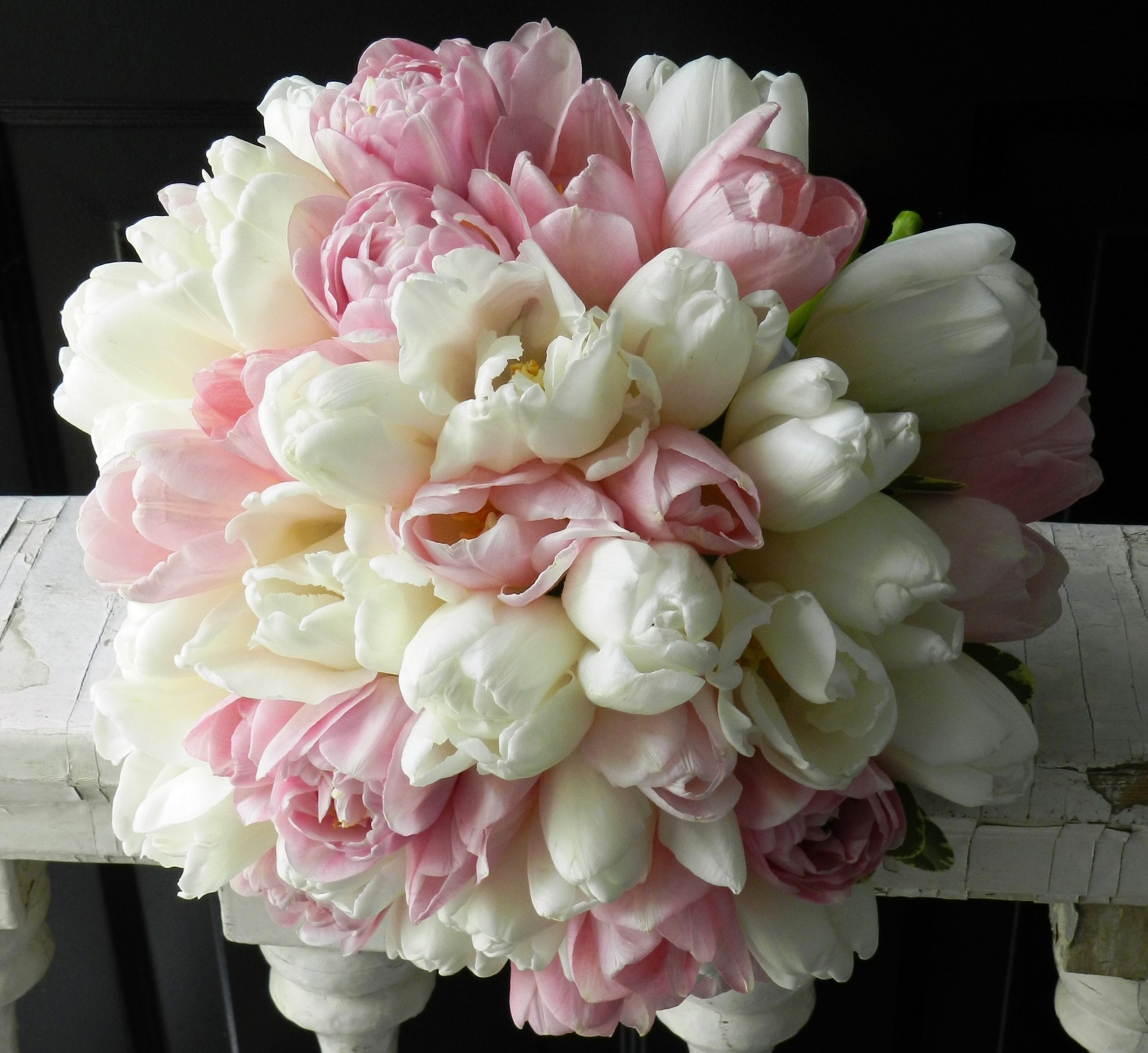 Bouquet of pink and white tulips HD Wallpaper