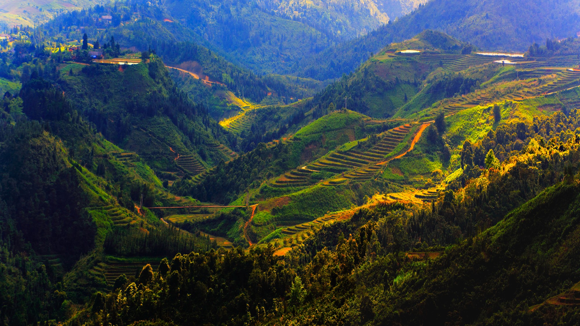 Terraced Rice Fields in Sapa, Vietnam HD Wallpaper