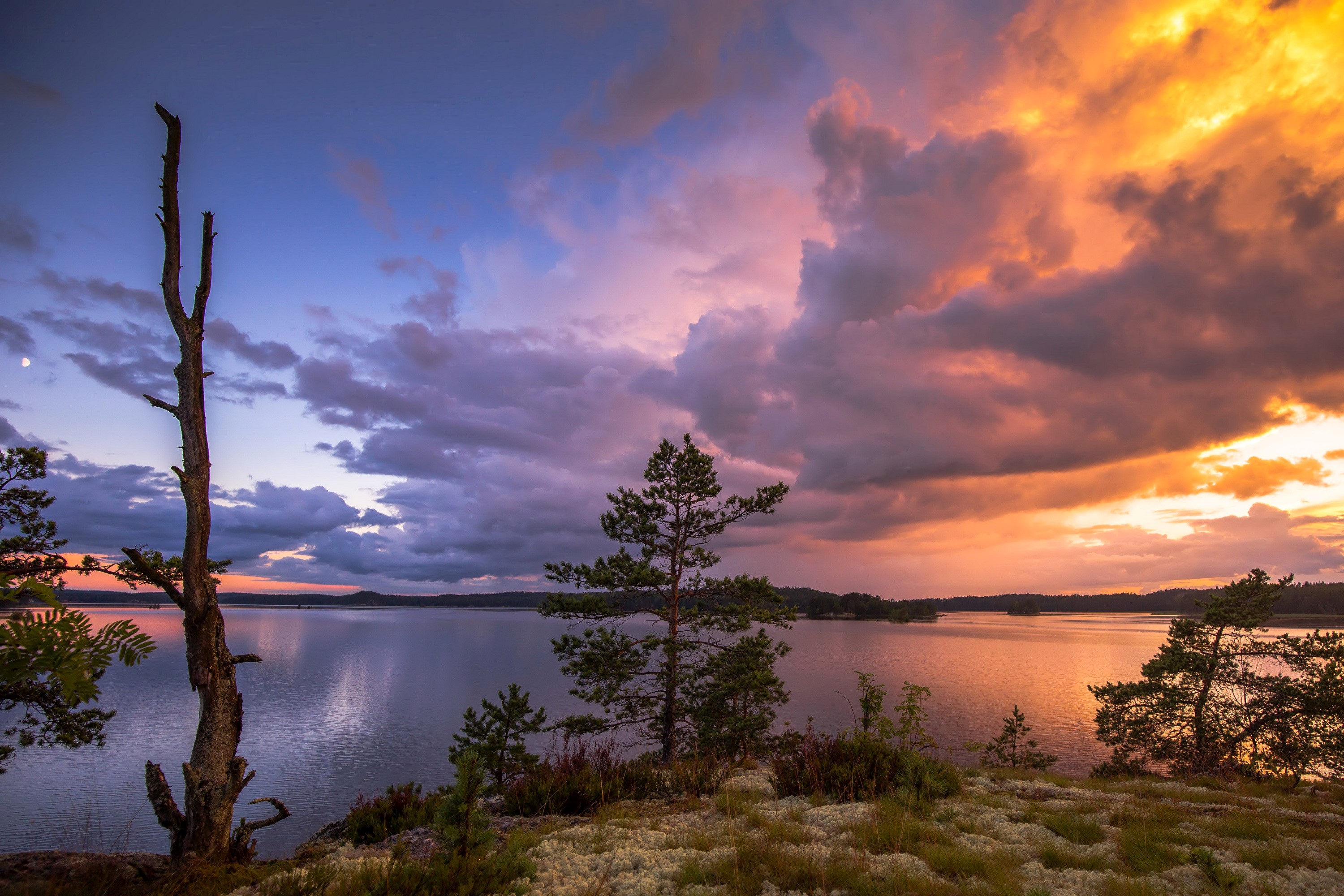 Sunset over a lake with trees and clouds HD Wallpaper