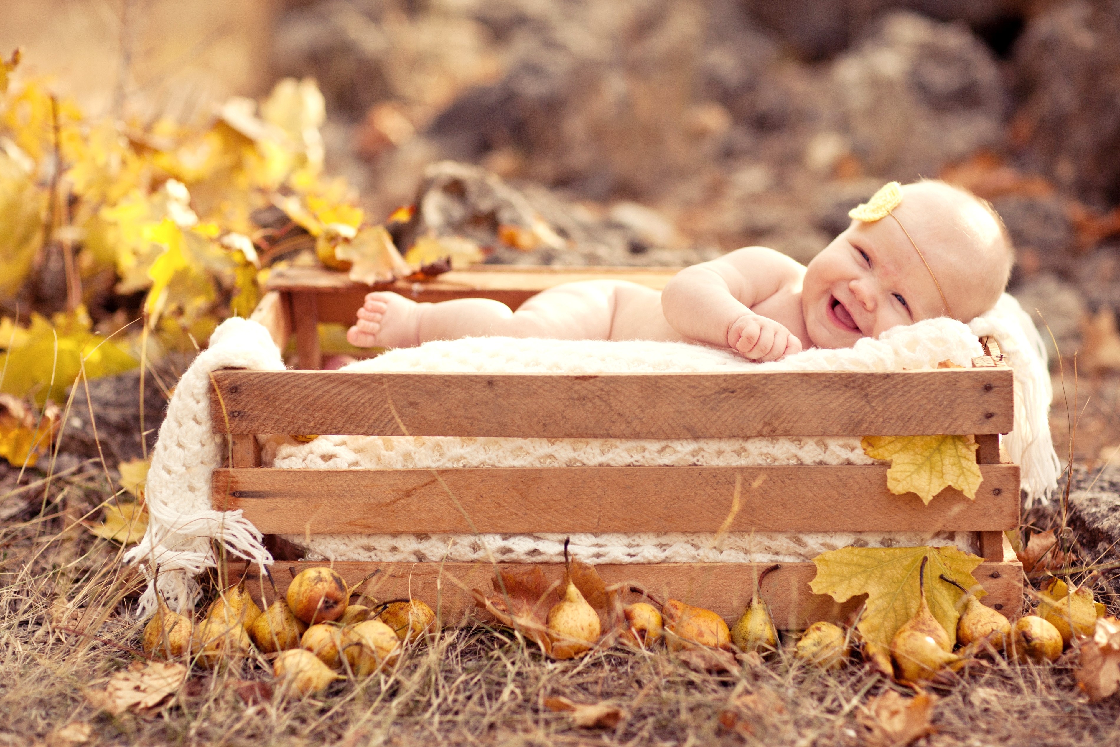 Baby in a wooden crate with autumn leaves HD Wallpaper