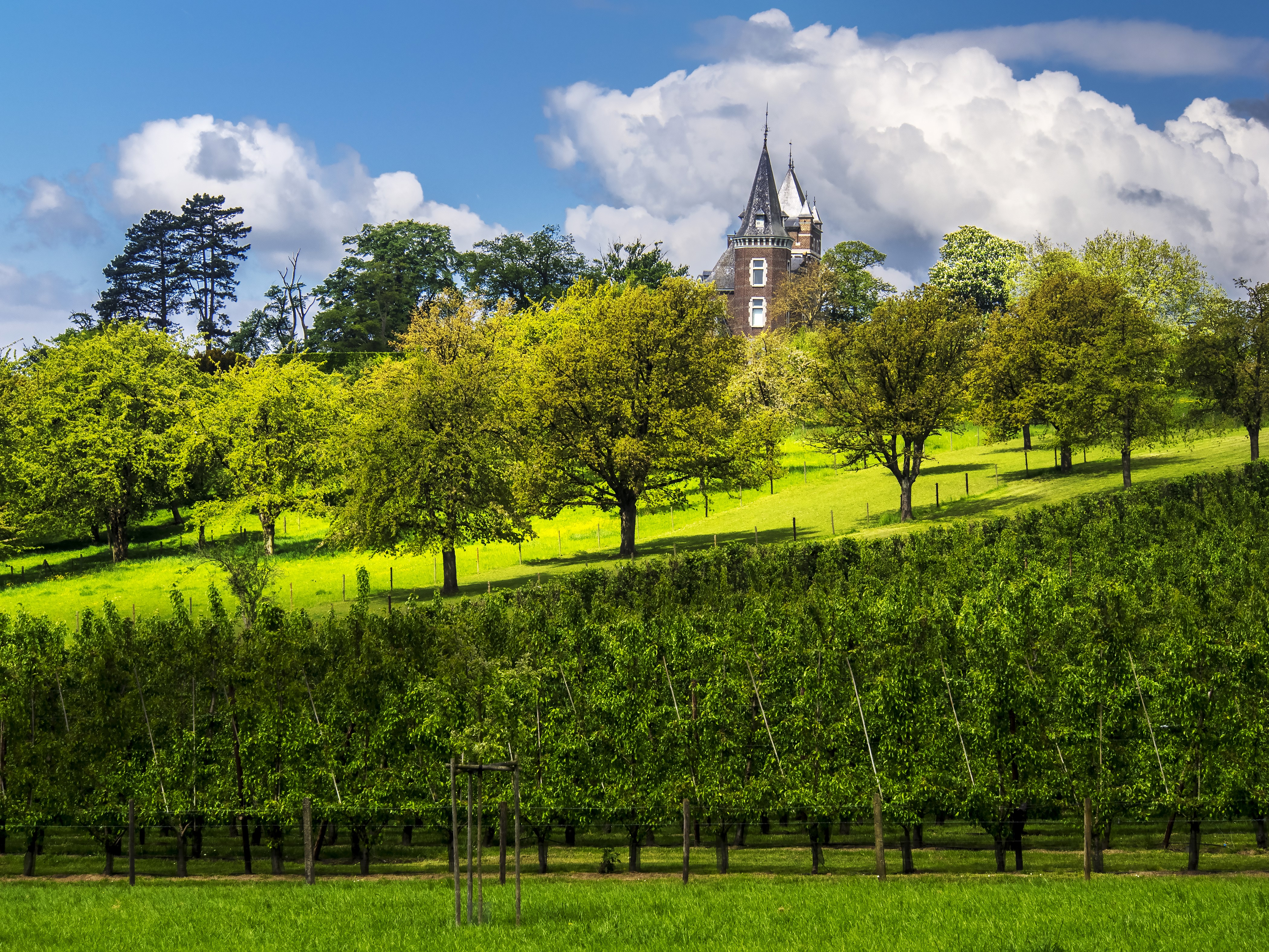 4K Hulsberg Castle Looz Belgium Parks Castles Trees Clouds Grass HD Wallpaper