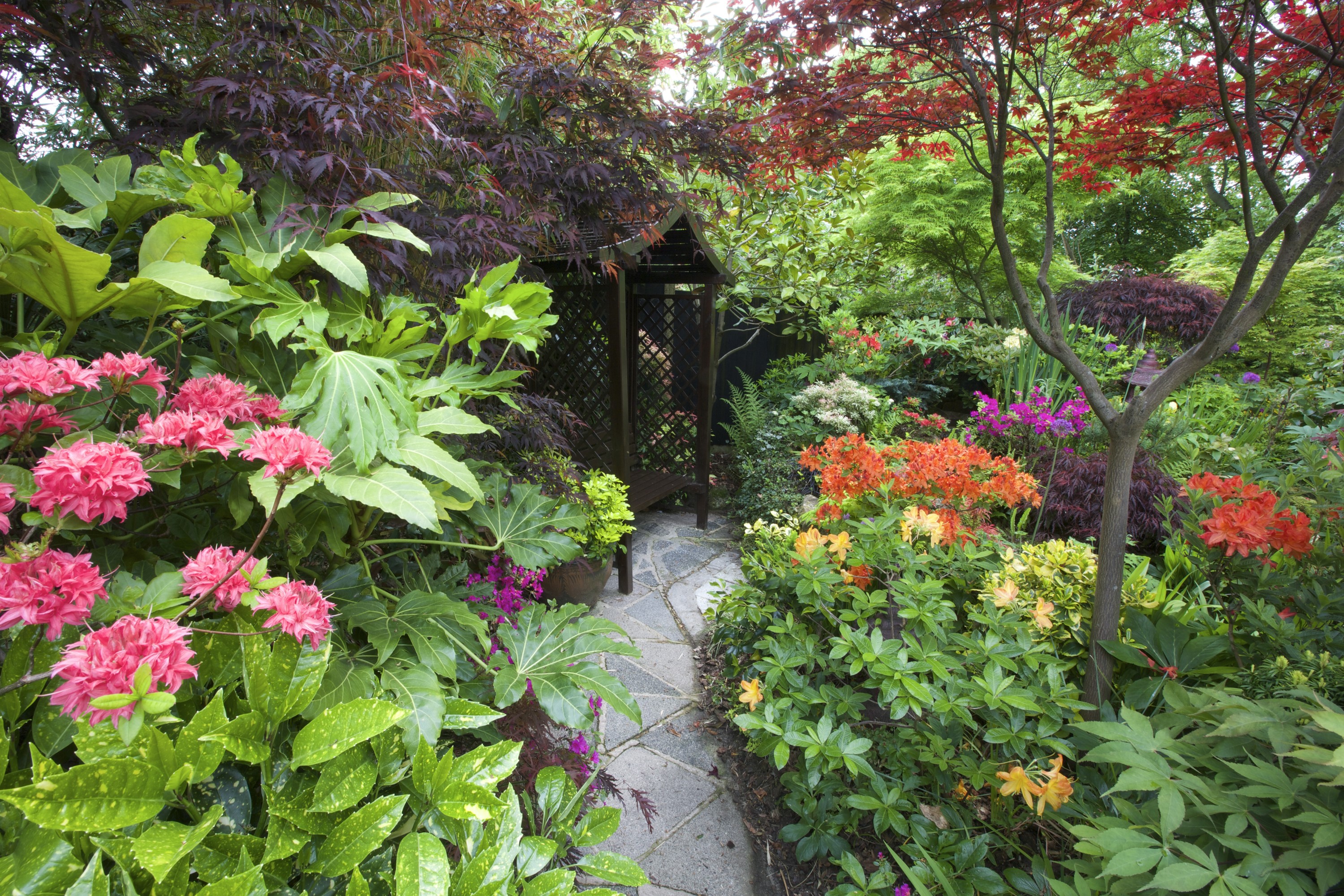 A lush garden path with colorful flowers and trees in Walsall, England HD Wallpaper