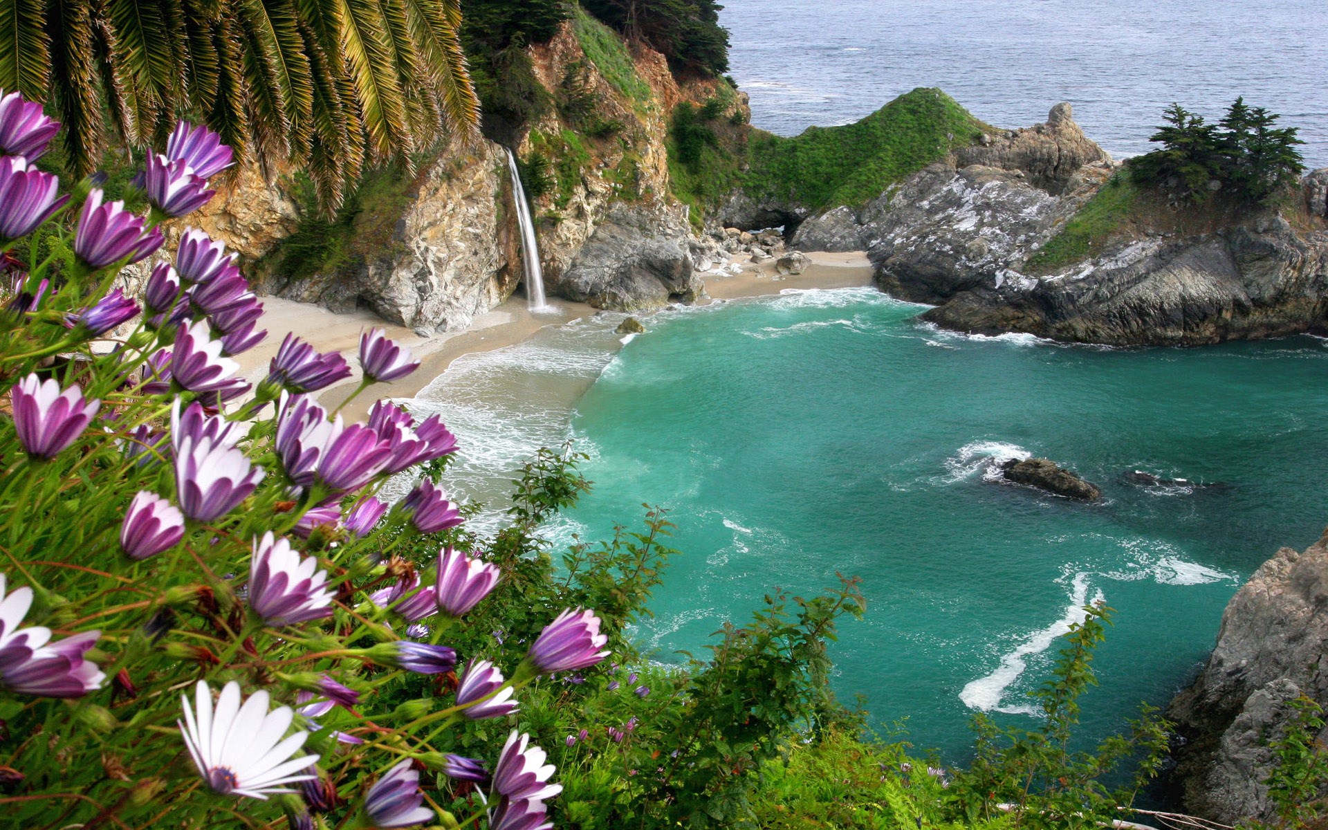 Purple and white flowers overlook a waterfall beach cove HD Wallpaper