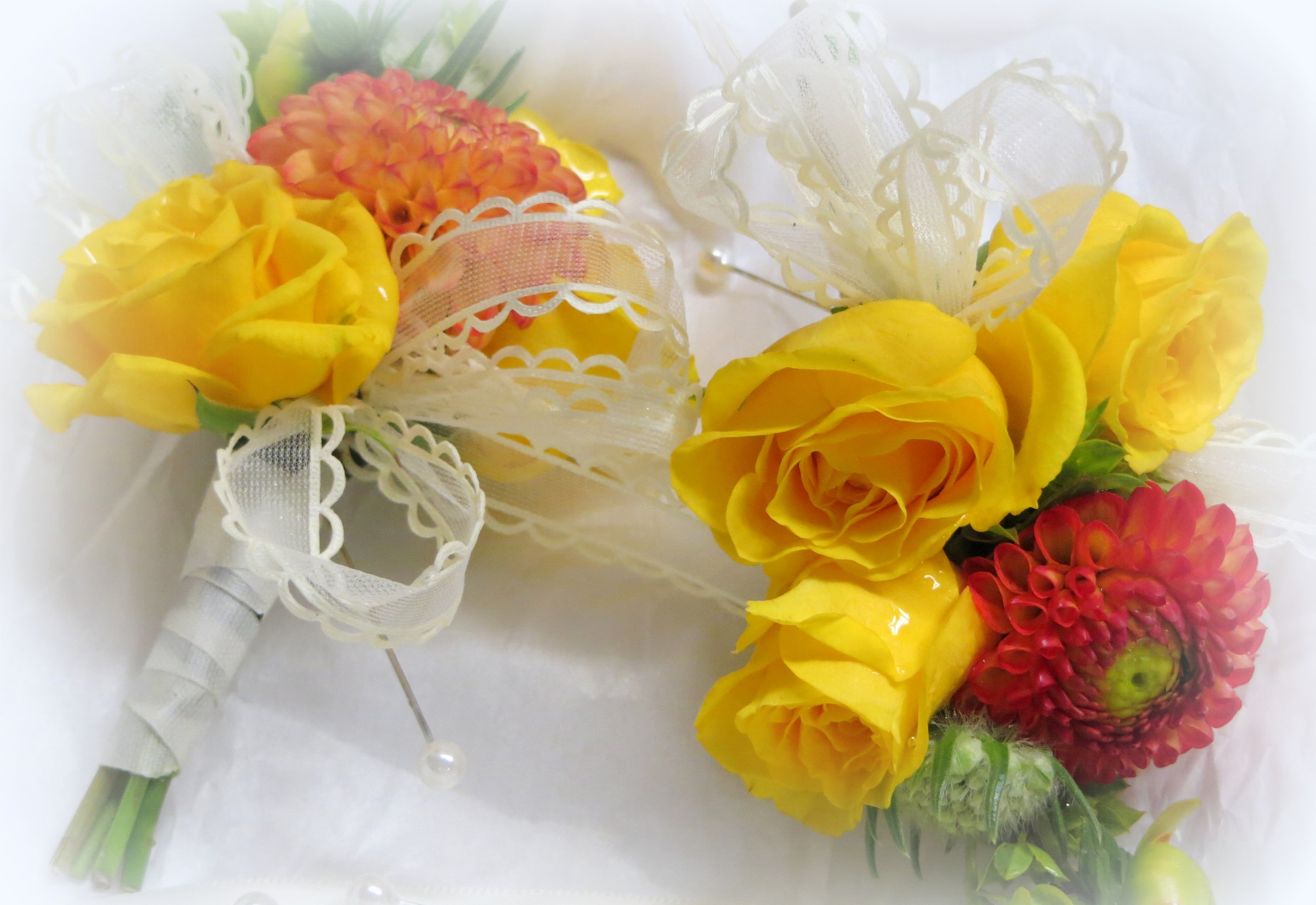 Two yellow rose and dahlia boutonnieres with lace ribbons HD Wallpaper