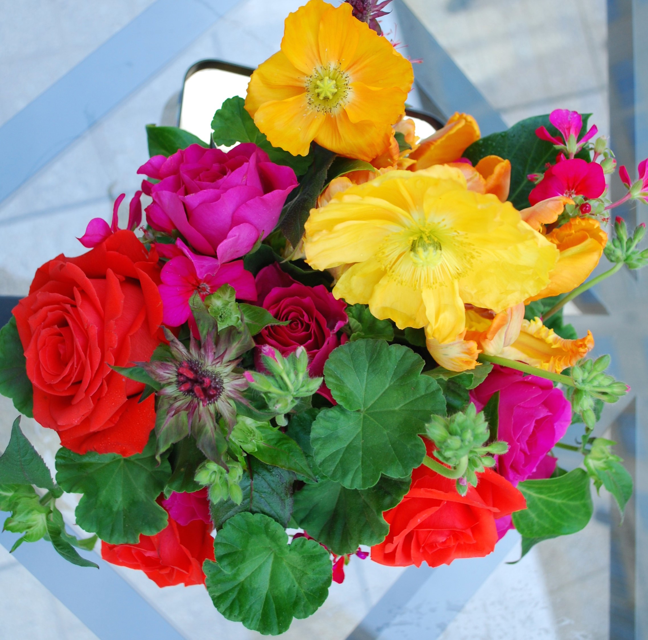 Bouquet of Roses and Poppies HD Wallpaper
