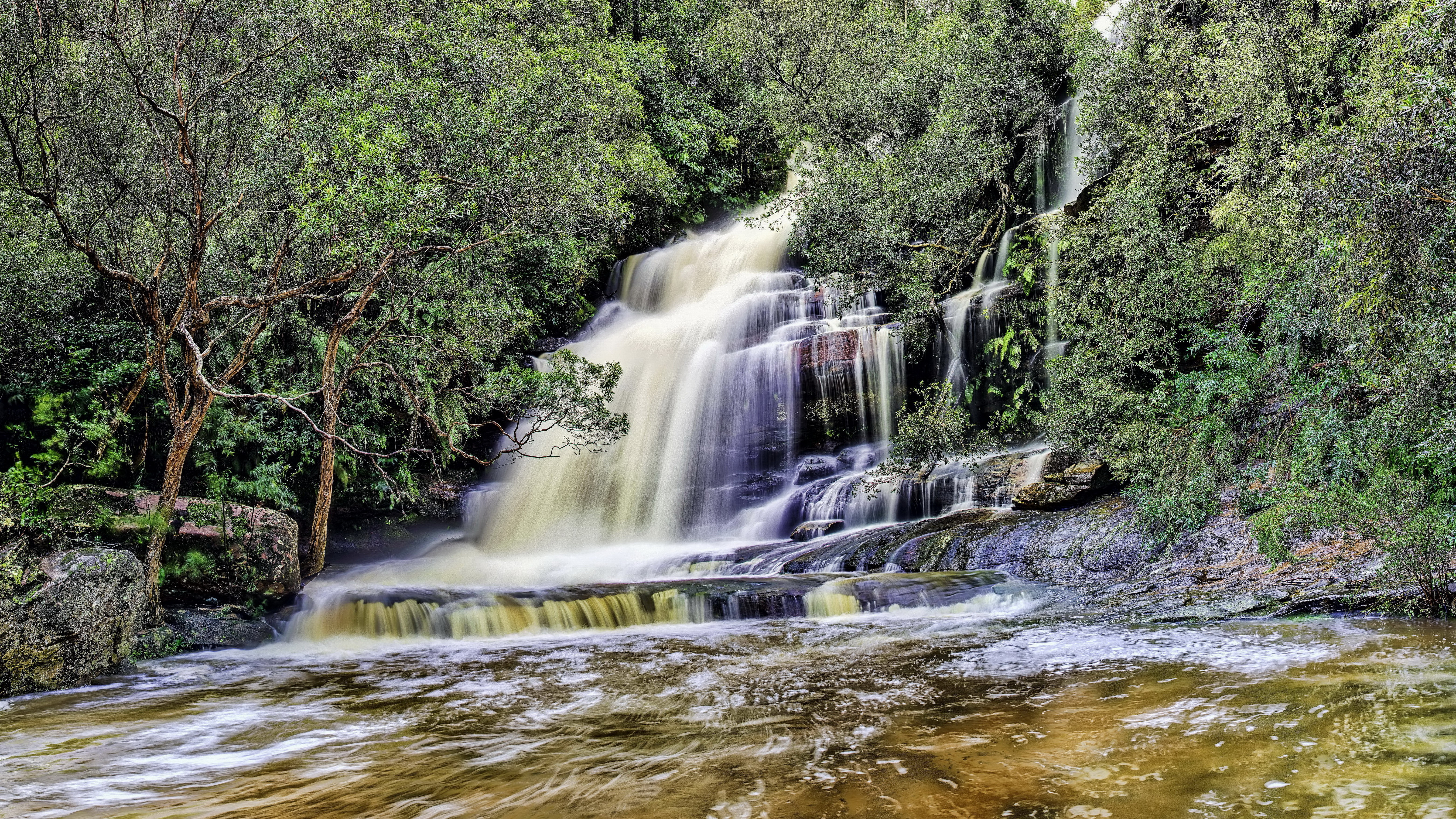 Waterfall in a forest HD Wallpaper