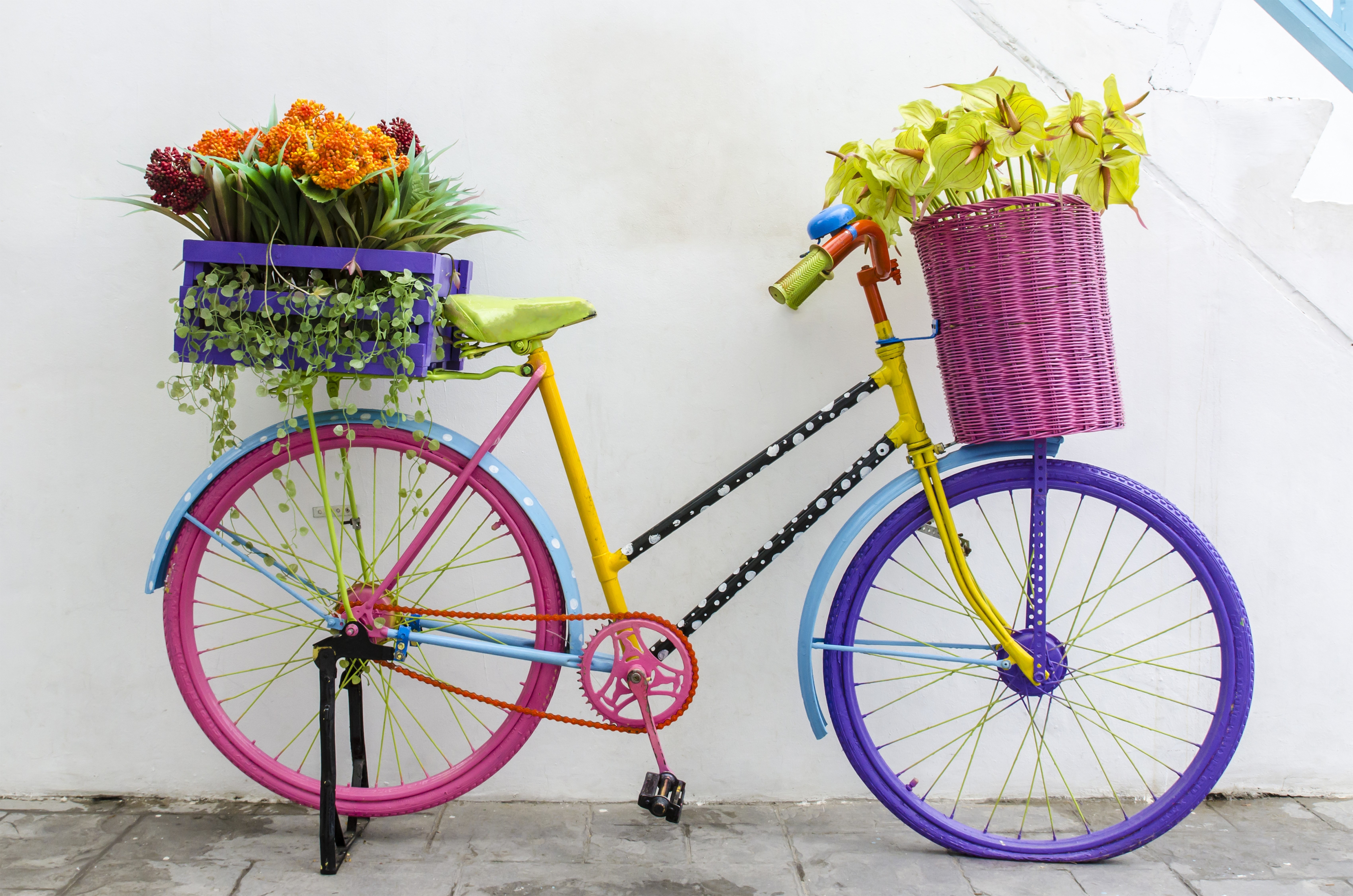 Colorful bicycle decorated with flowers HD Wallpaper