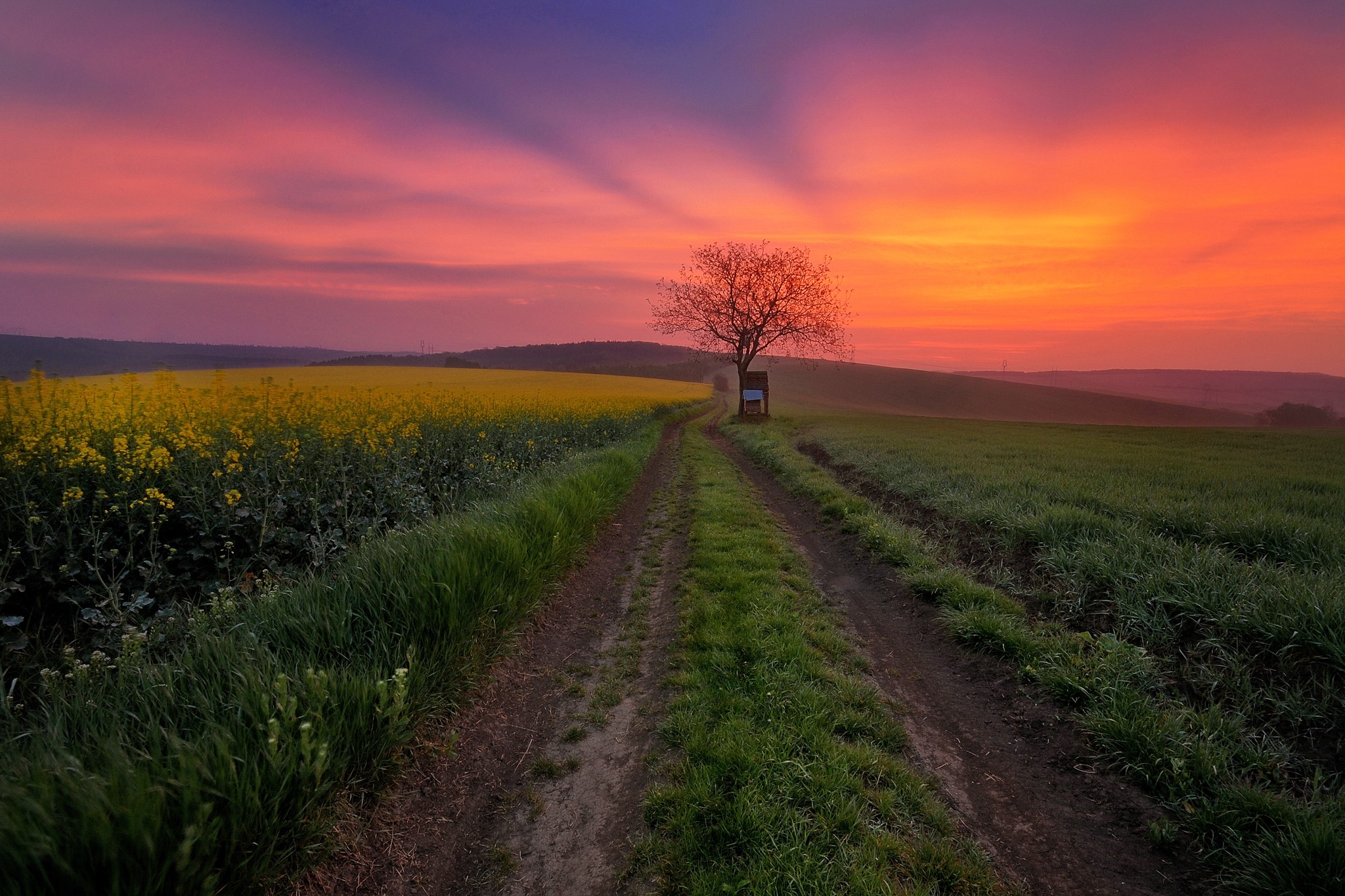 Dirt road through fields at sunset HD Wallpaper