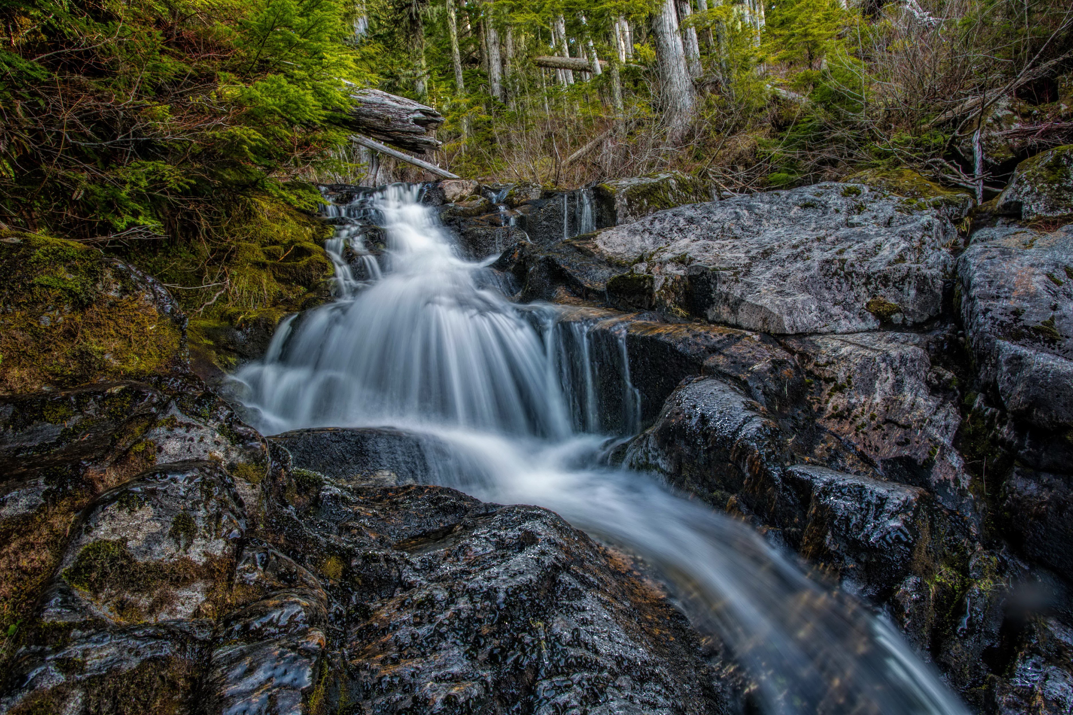 Waterfall over rocks in a forest HD Wallpaper