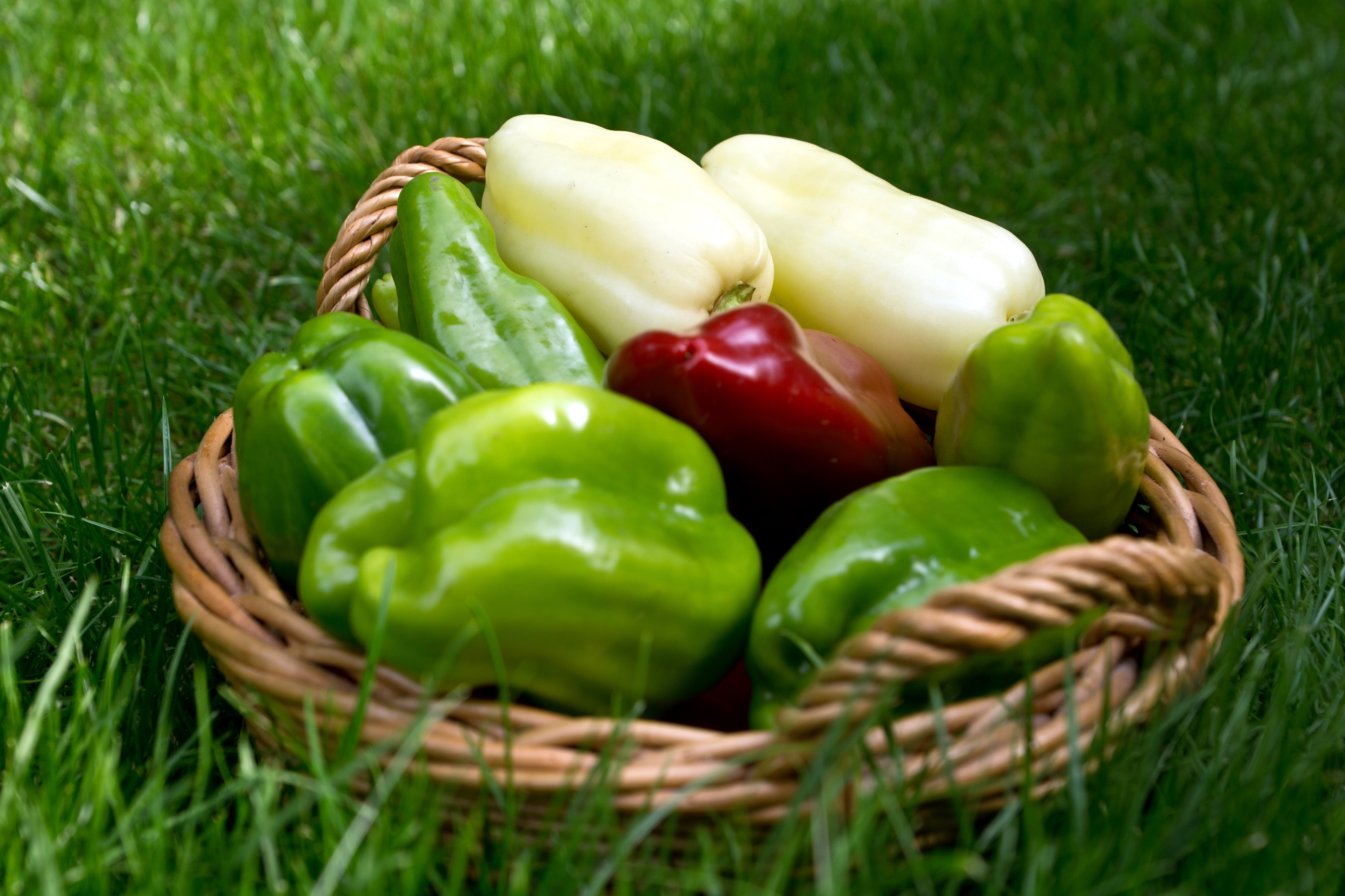 Bell peppers in a wicker basket on grass HD Wallpaper