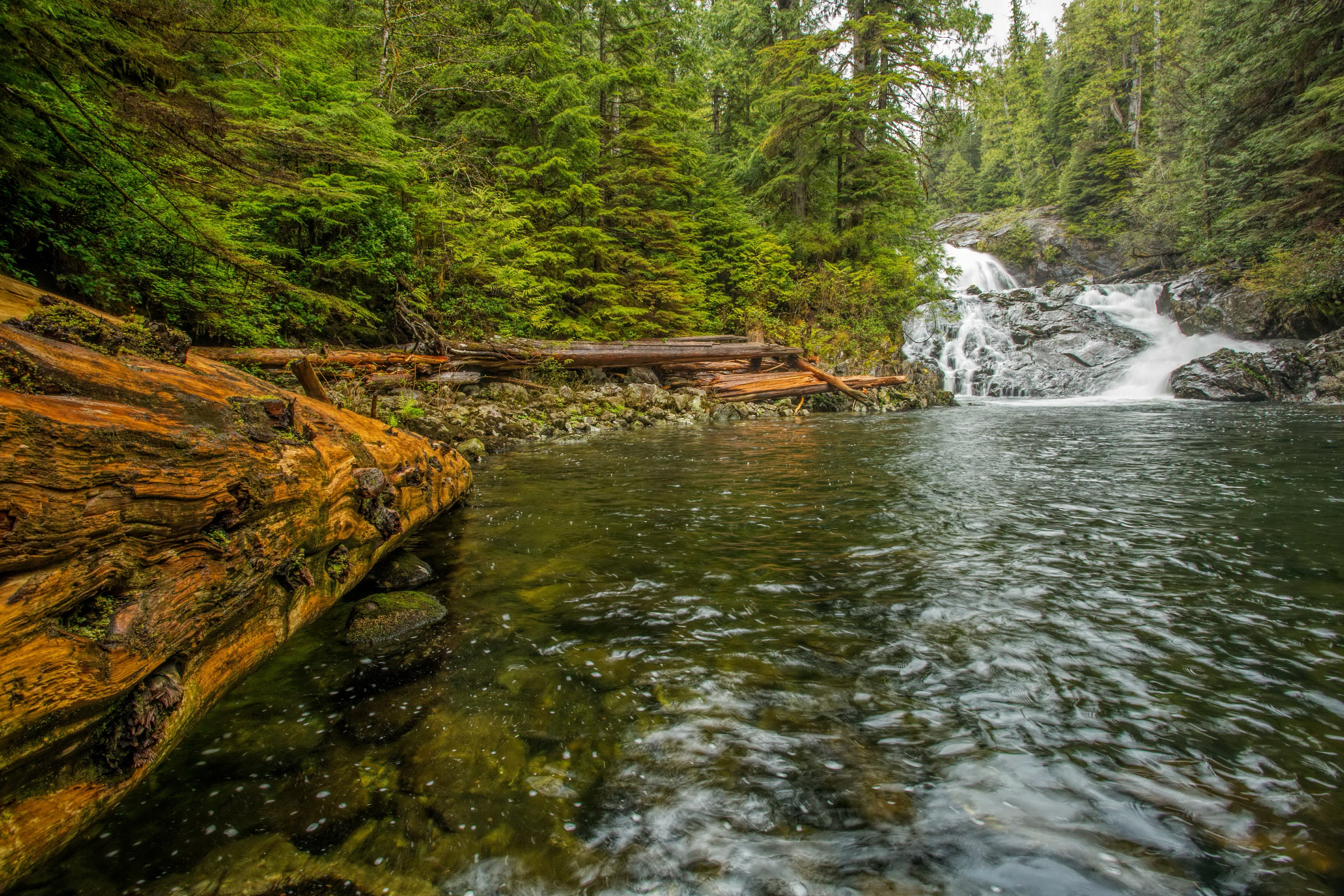 4K Waterfalls and Forest on Vancouver Island, Canada HD Wallpaper