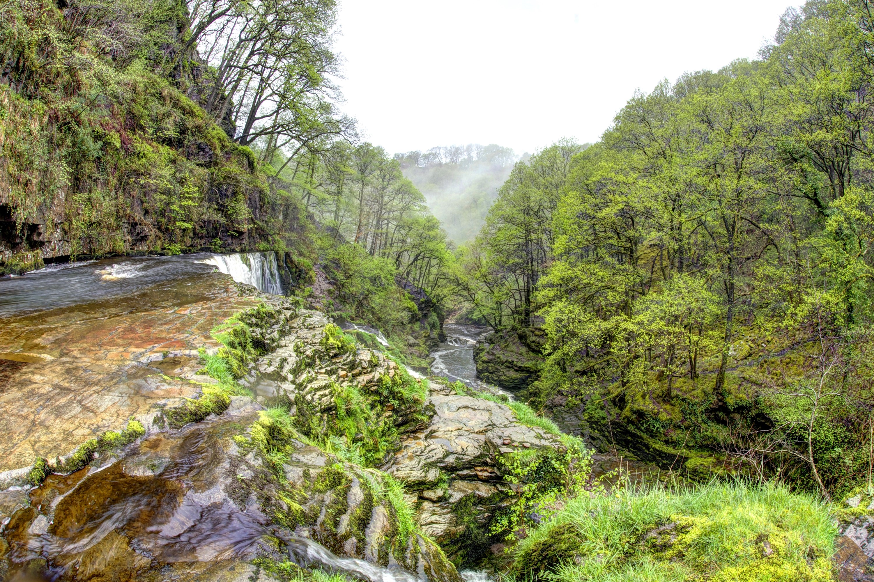 Waterfall and river in a lush green forest in Wales HD Wallpaper