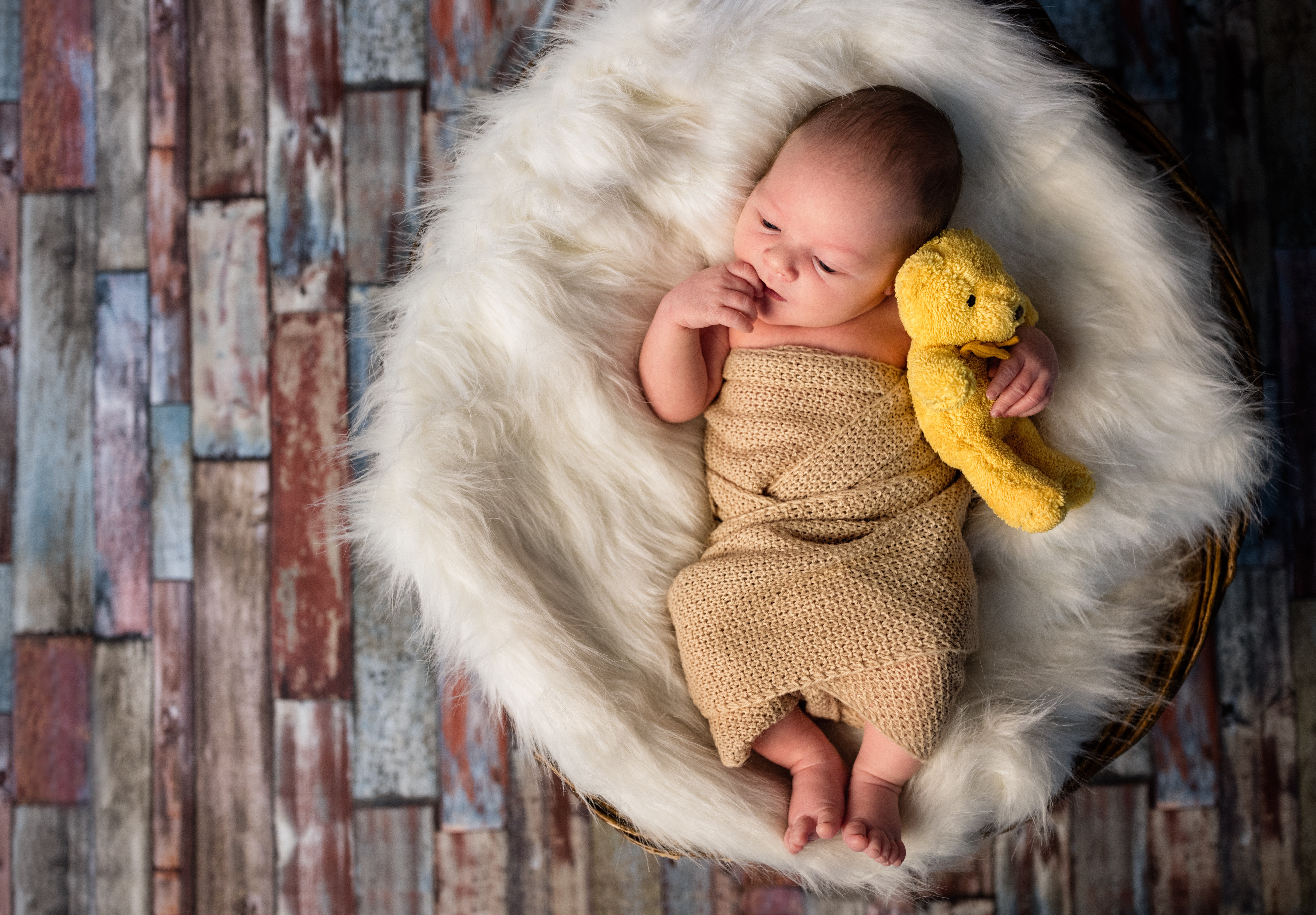 Newborn baby with teddy bear in basket HD Wallpaper