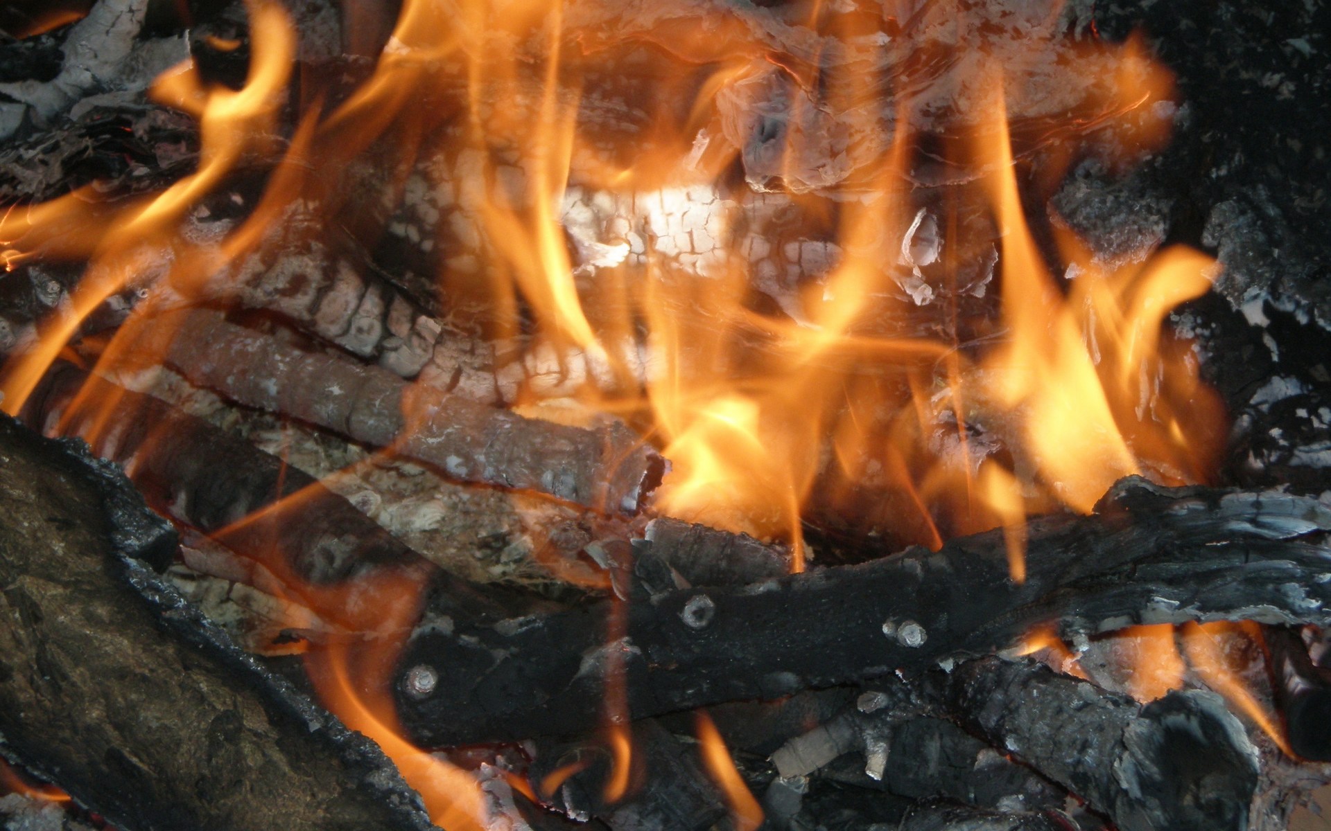 Close-up of burning logs and embers HD Wallpaper