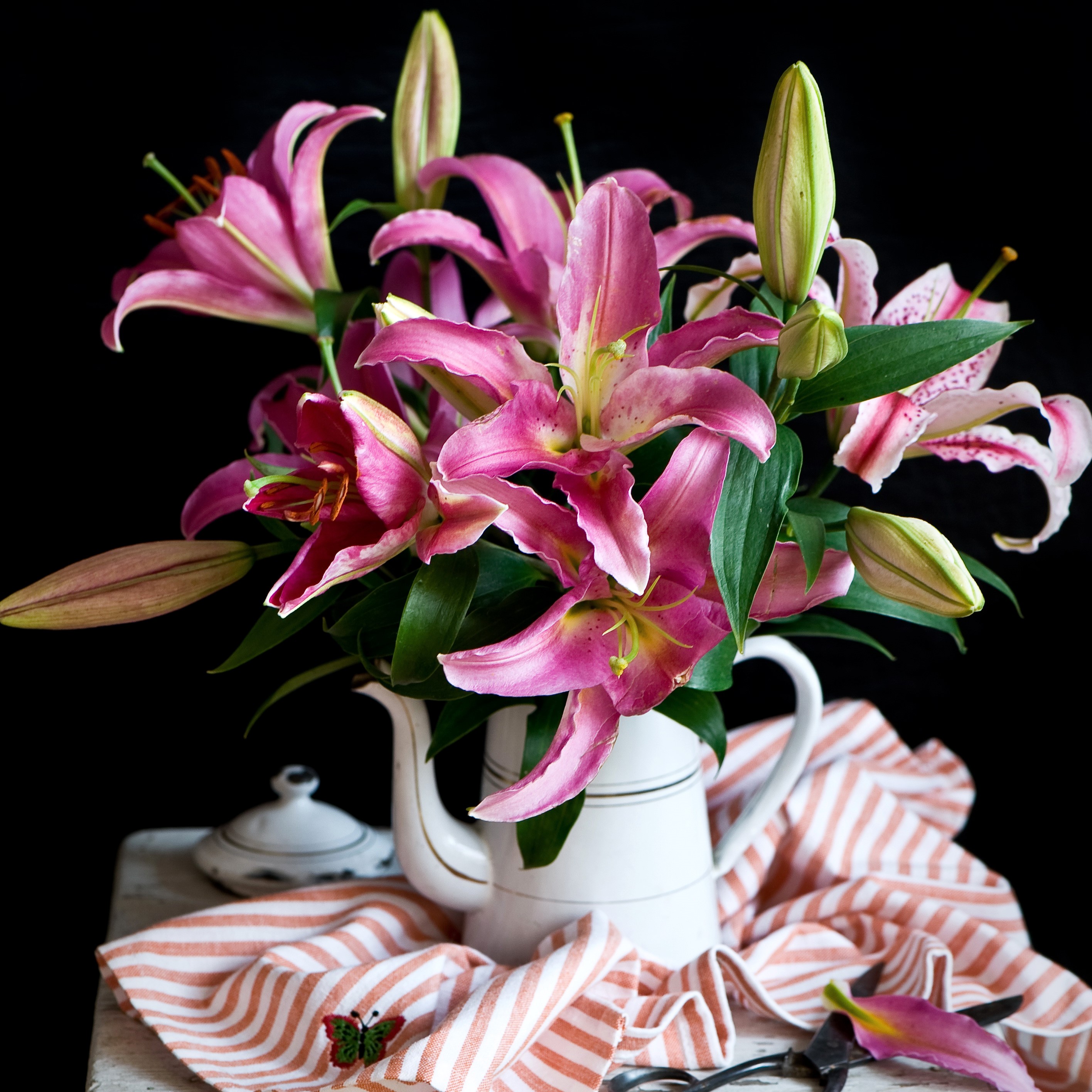 Pink lilies in a white kettle on a striped cloth HD Wallpaper