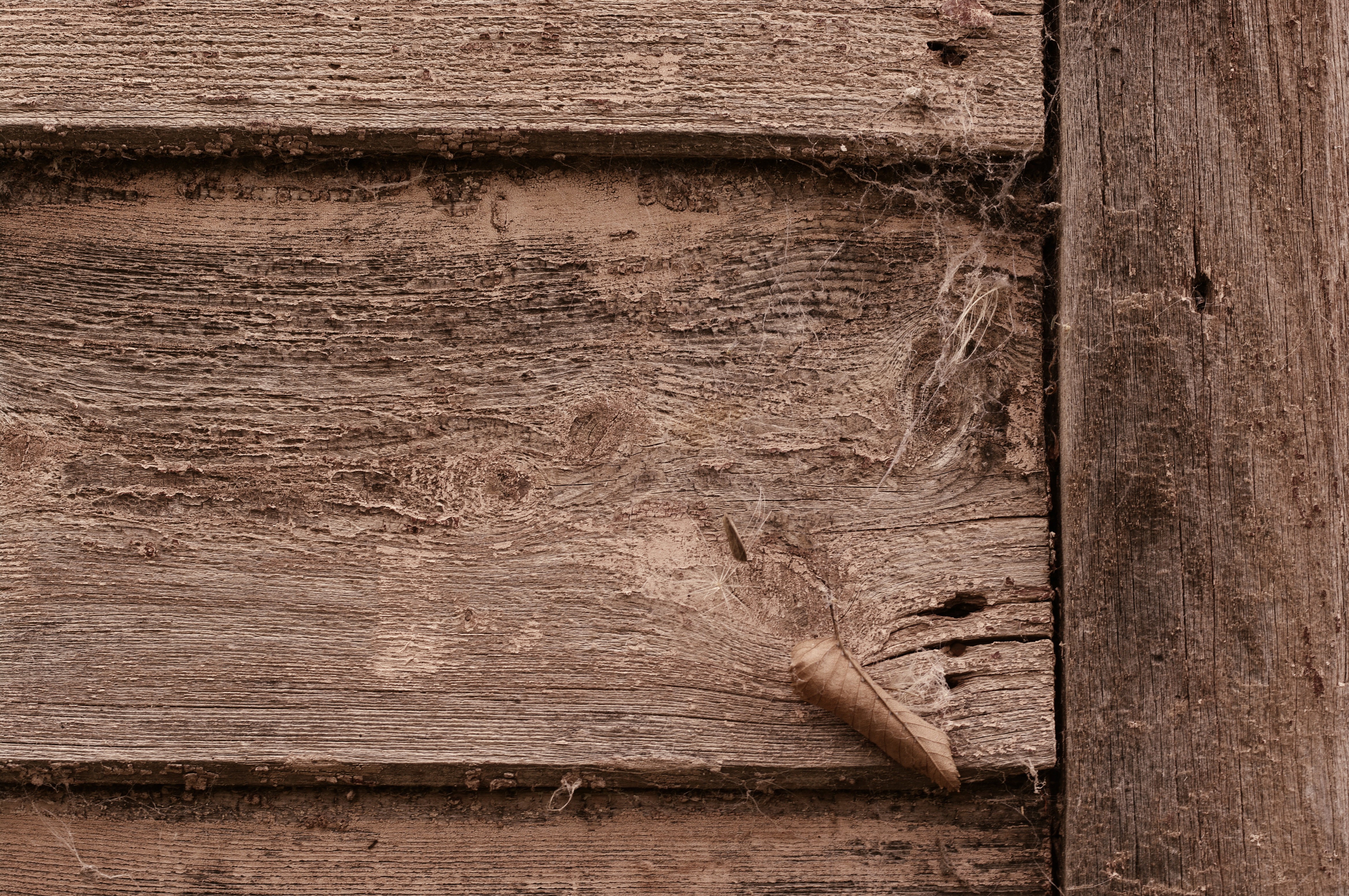 Wooden Texture with Spiderwebs HD Wallpaper