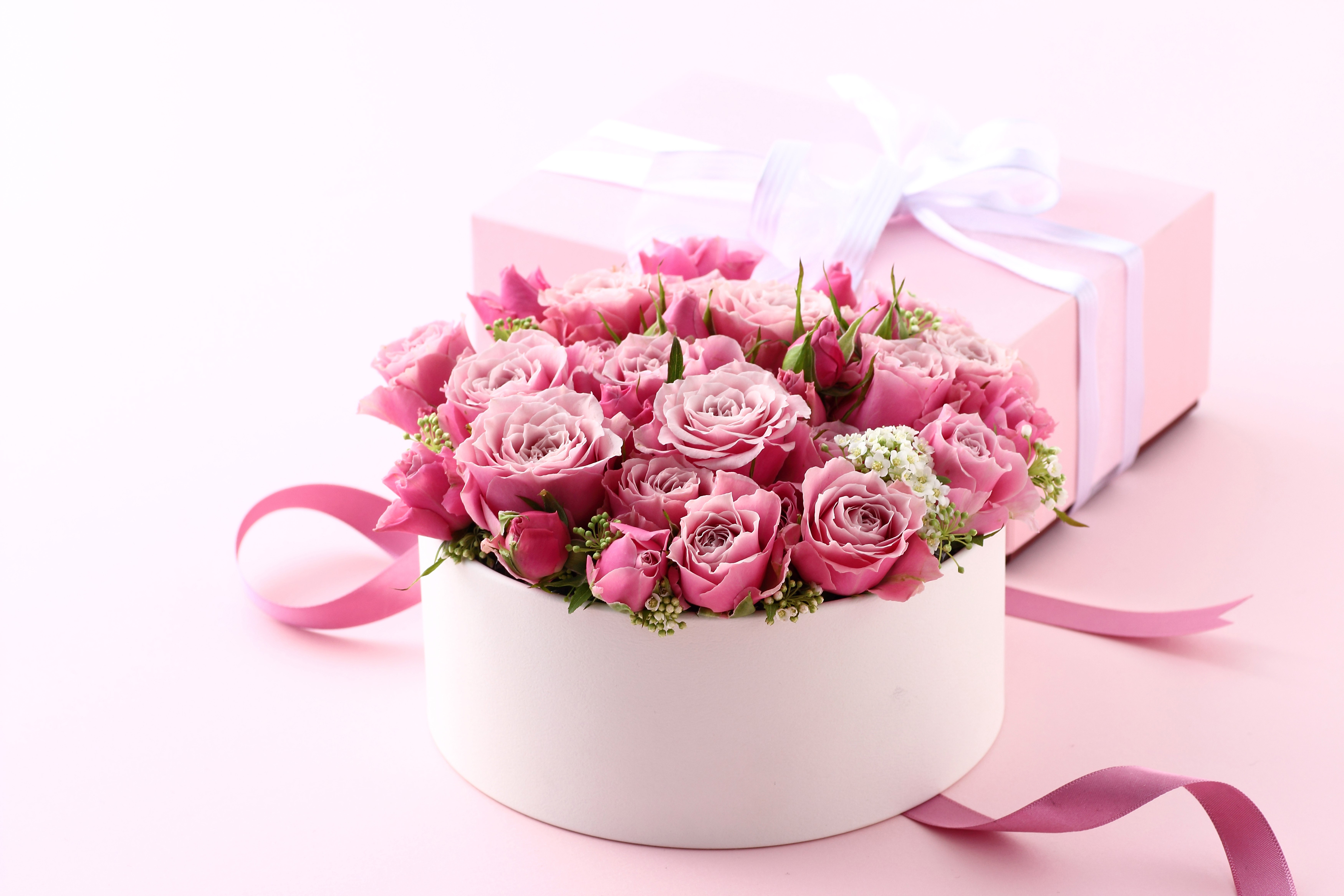 Pink Roses in a Box with a Pink Gift Box HD Wallpaper