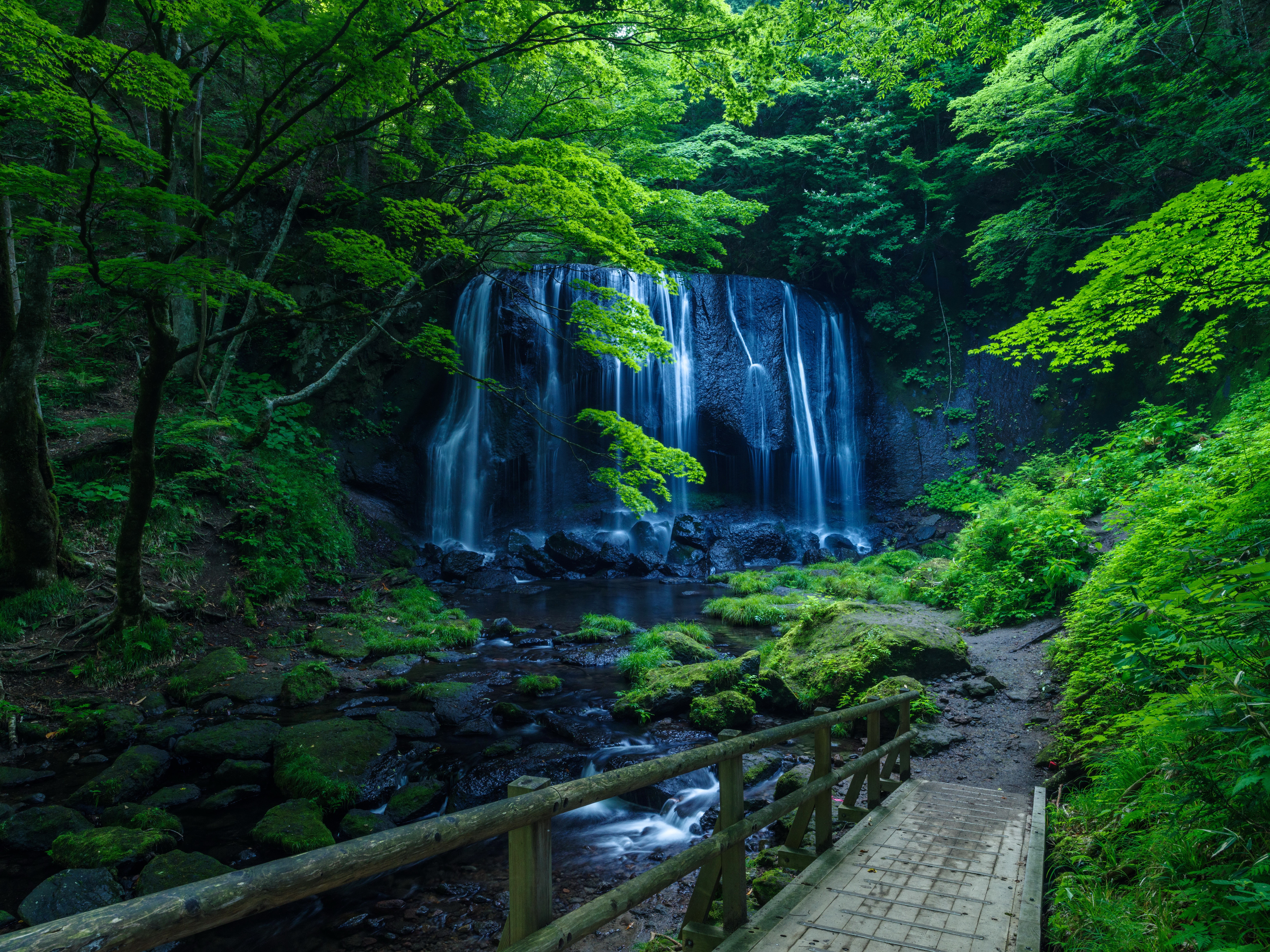 Waterfall in a lush green forest with a wooden bridge HD Wallpaper