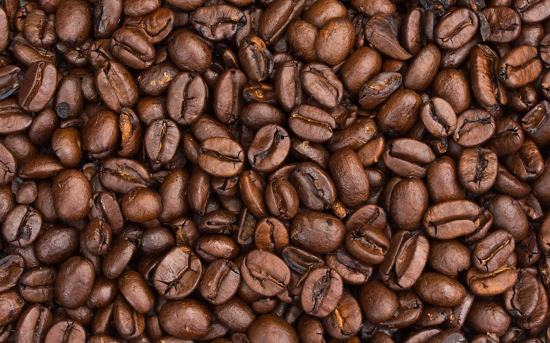 Close-up texture of roasted coffee beans HD Wallpaper