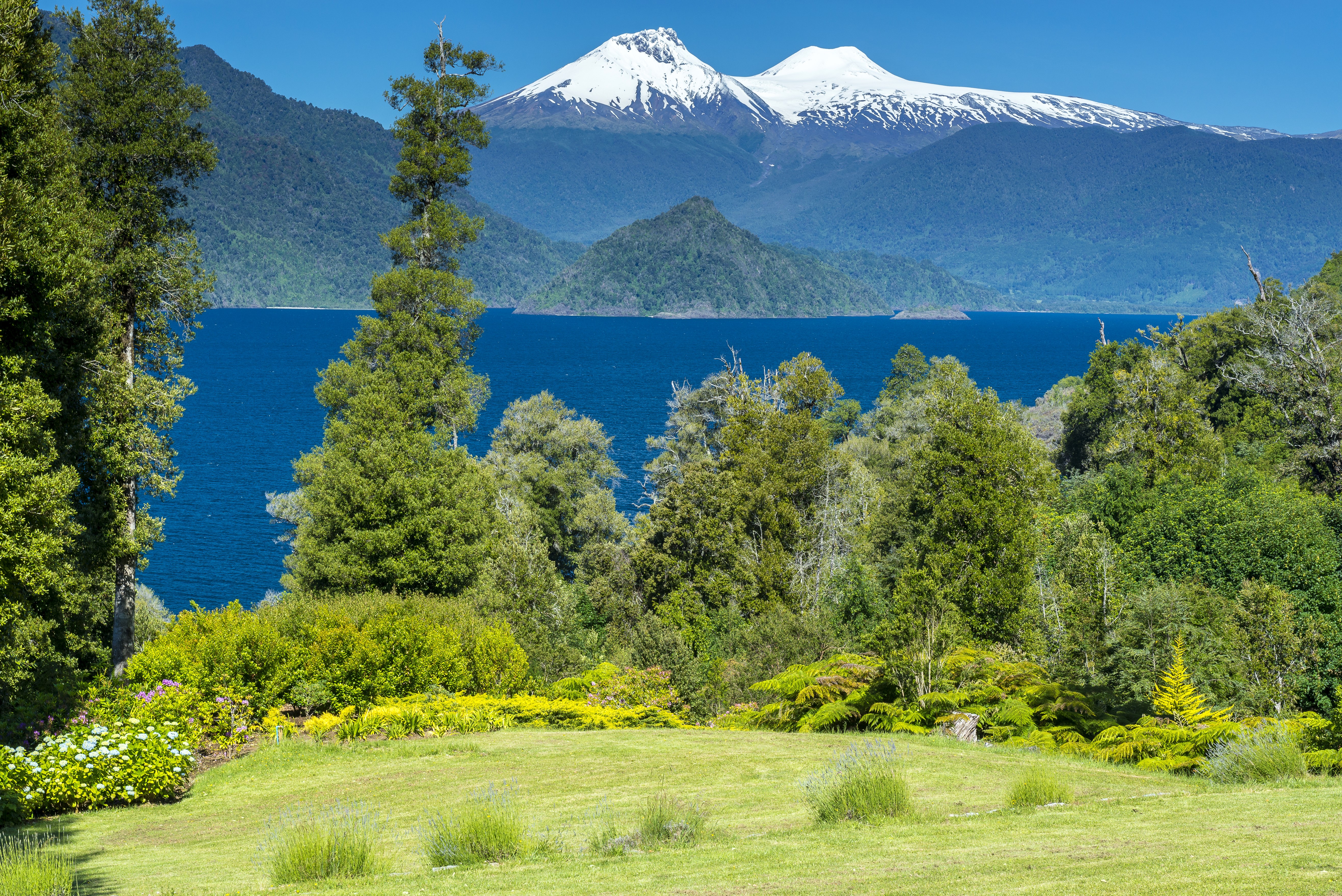 Conguillio National Park, Chile: Snow-capped Mountains and Lake HD Wallpaper