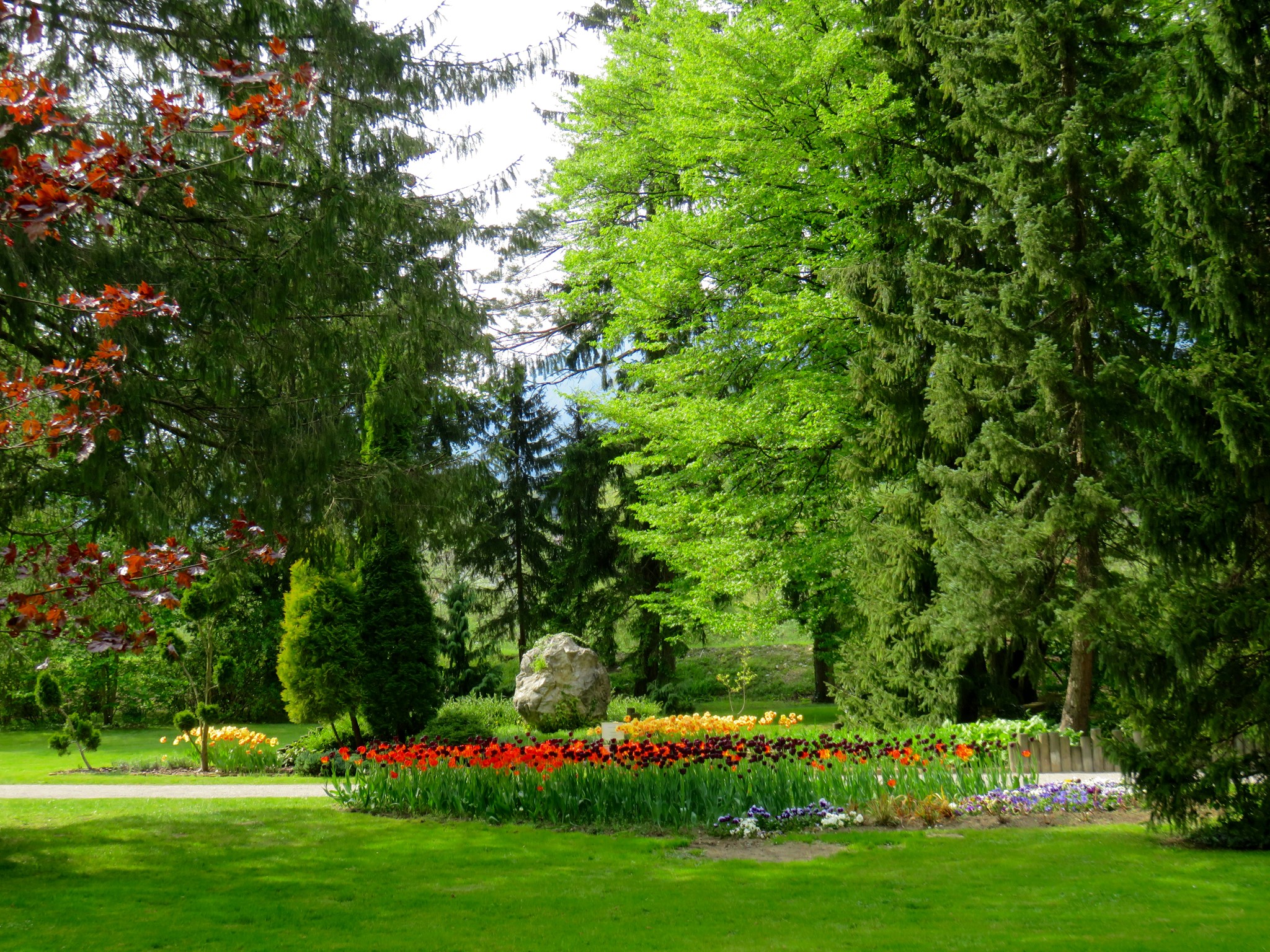Park with flower beds and trees in Mozirski gaj, Slovenia HD Wallpaper