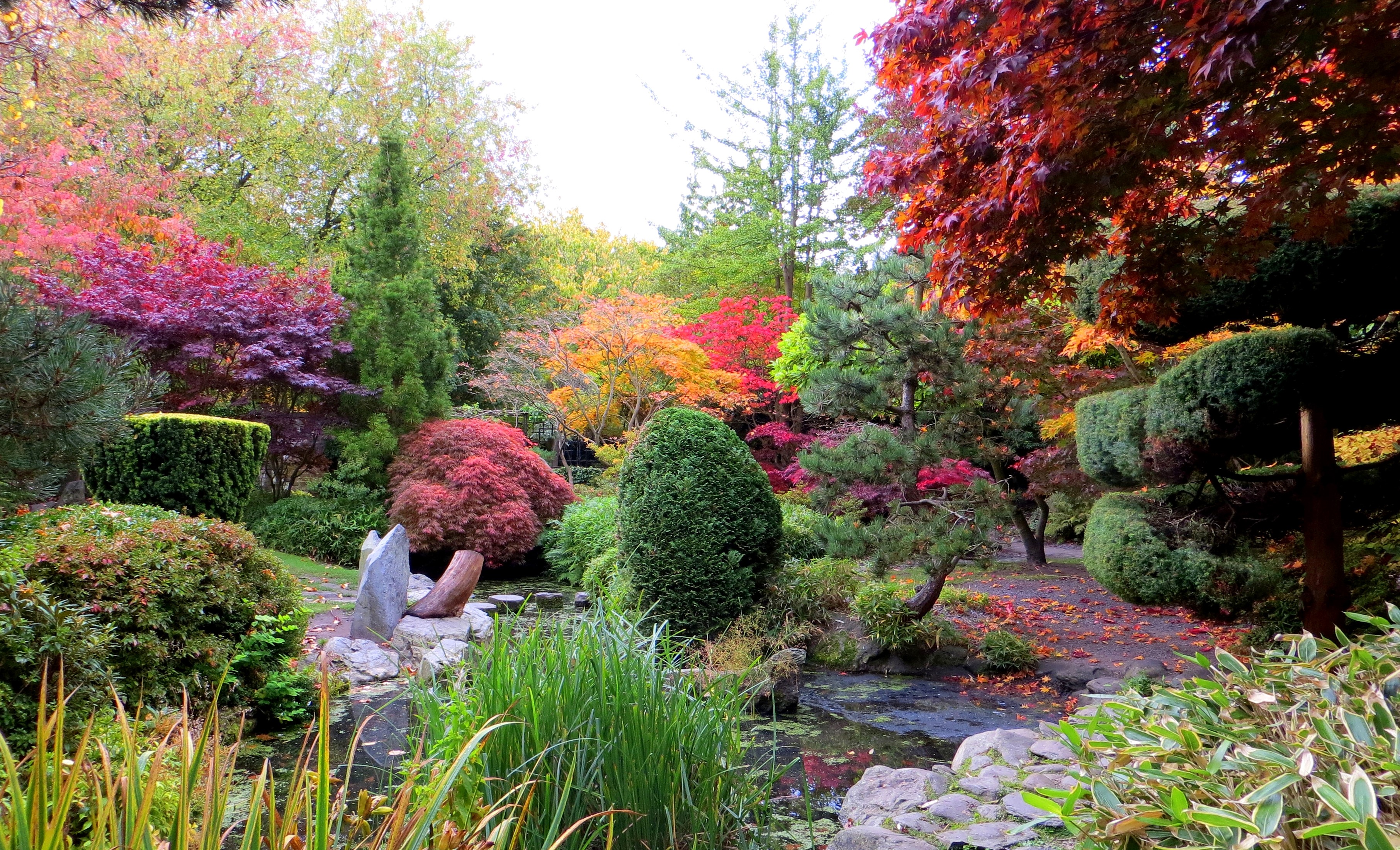 Calderstones Park Liverpool Autumn Garden HD Wallpaper